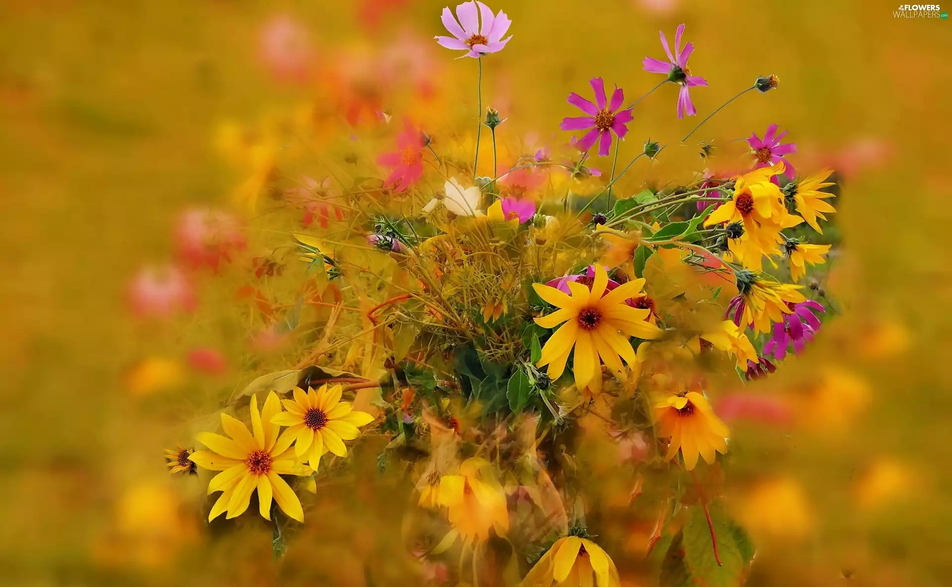 flowers, bouquet, wild