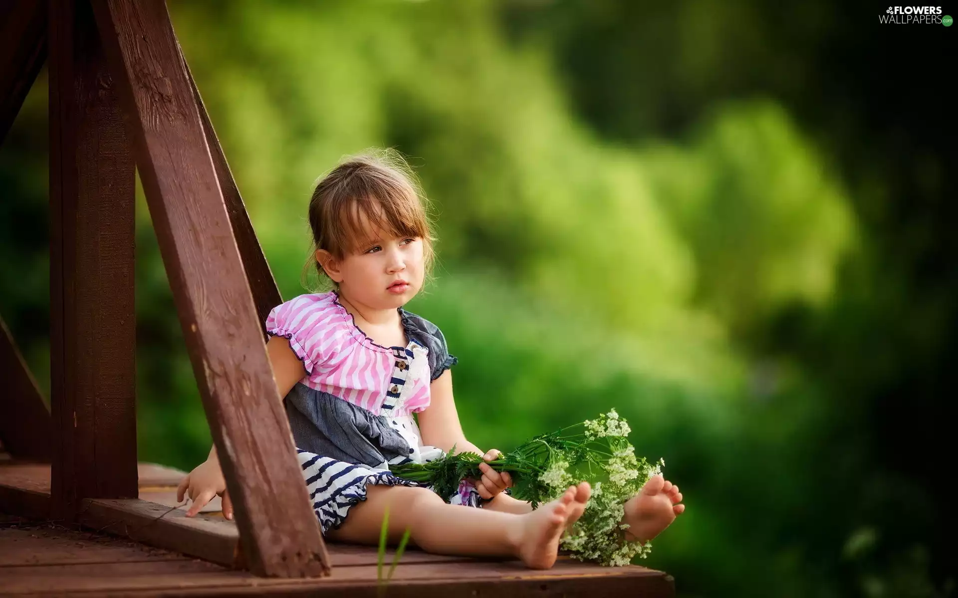 bridge, small, wild, flowers, small bunch, girl