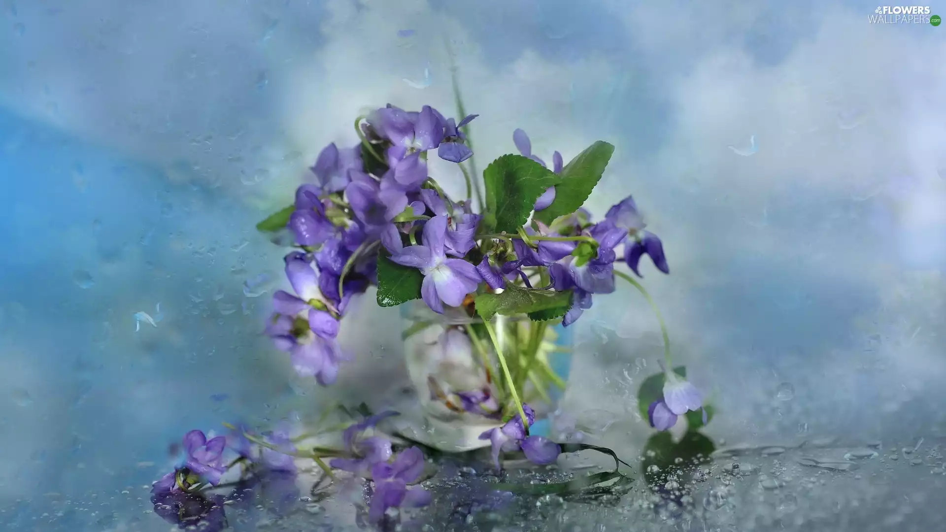 Flowers, Vase, Wildflowers