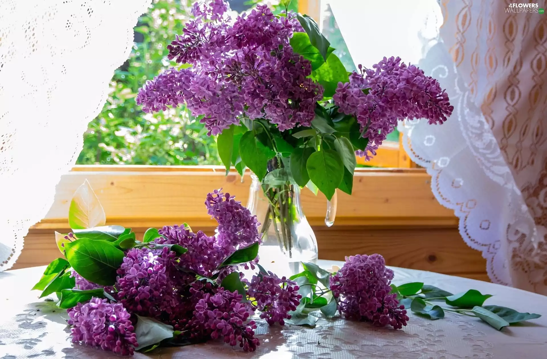 without, Vase, Window, Flowers