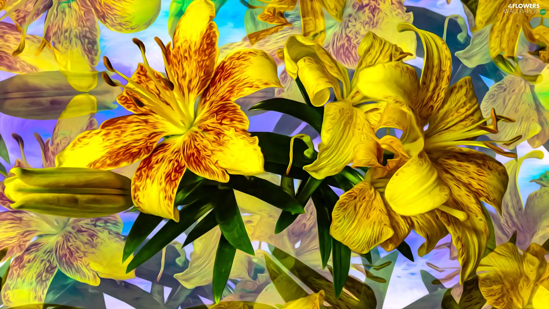 Yellow, lilies, graphics, Flowers