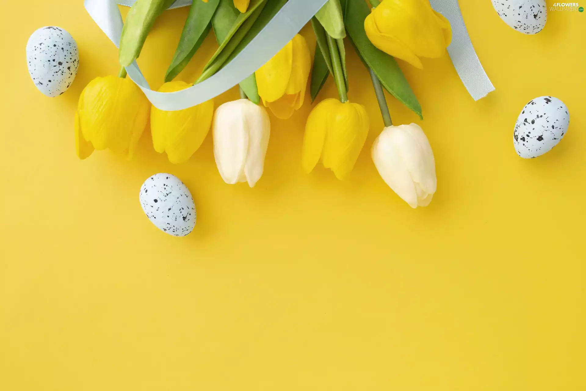 Tulips, Spring, Yellow, Flowers, Easter, eggs, background