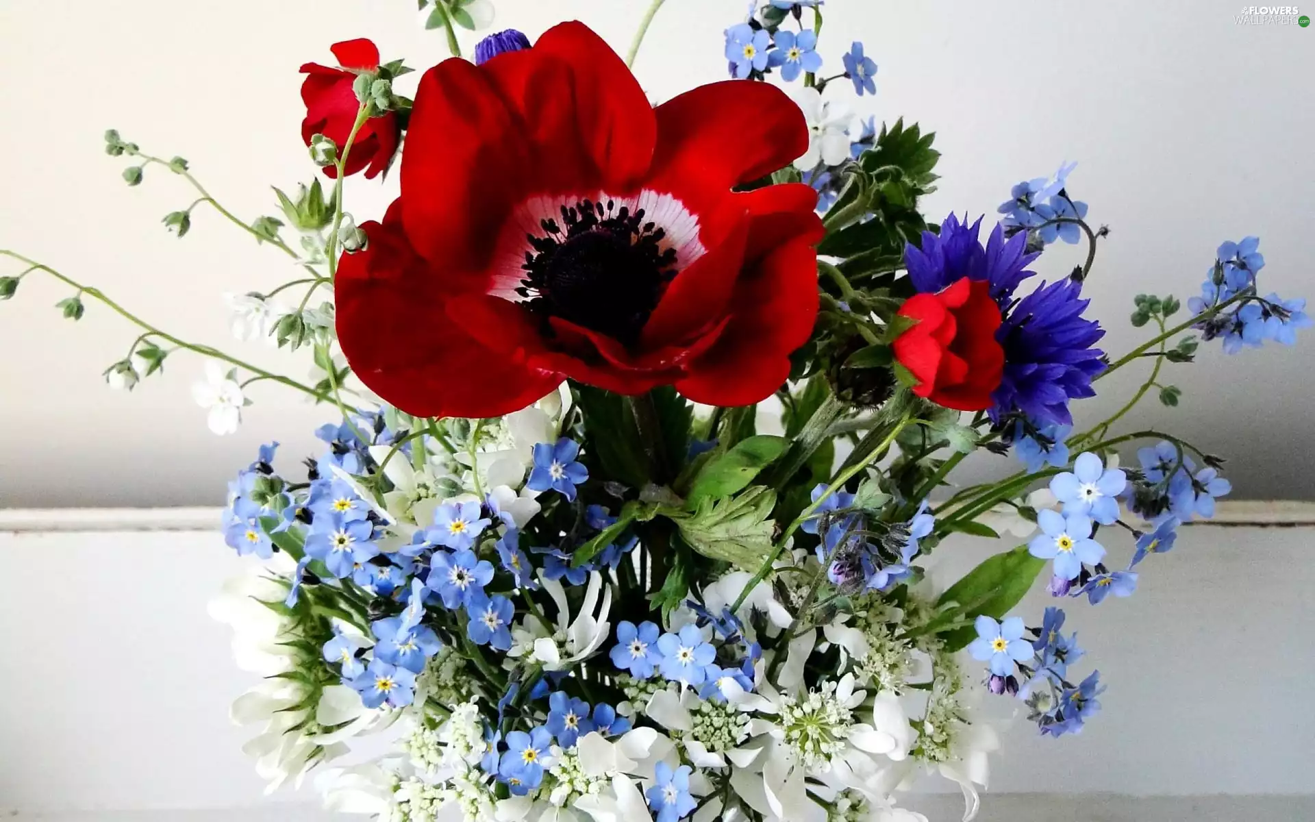 bouquet, papavers, cornflowers, Forget