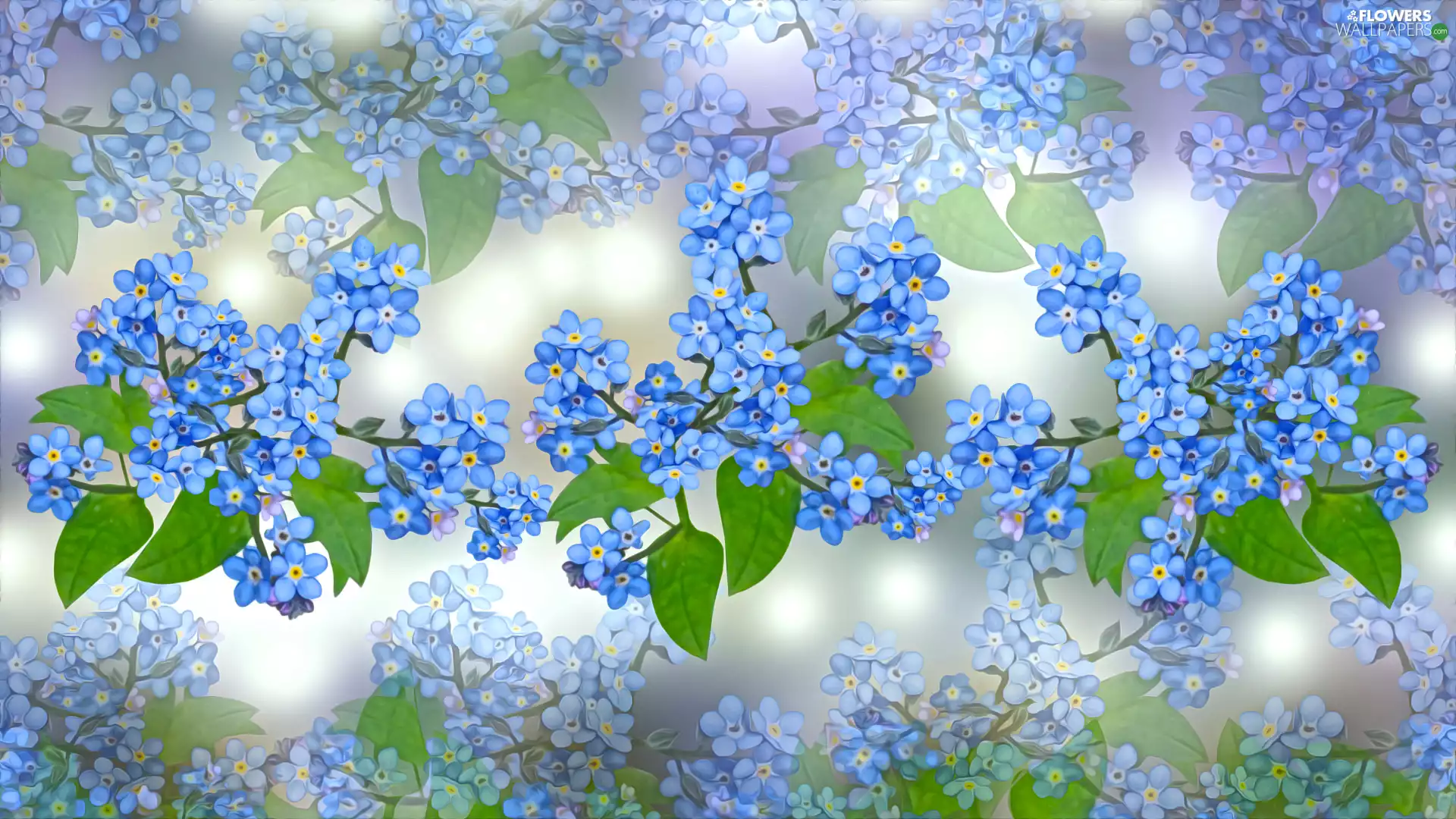 Flowers, leaves, graphics, Forget