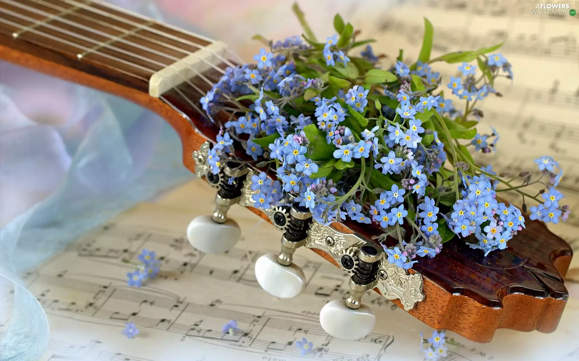 Forget, Tunes, Guitar