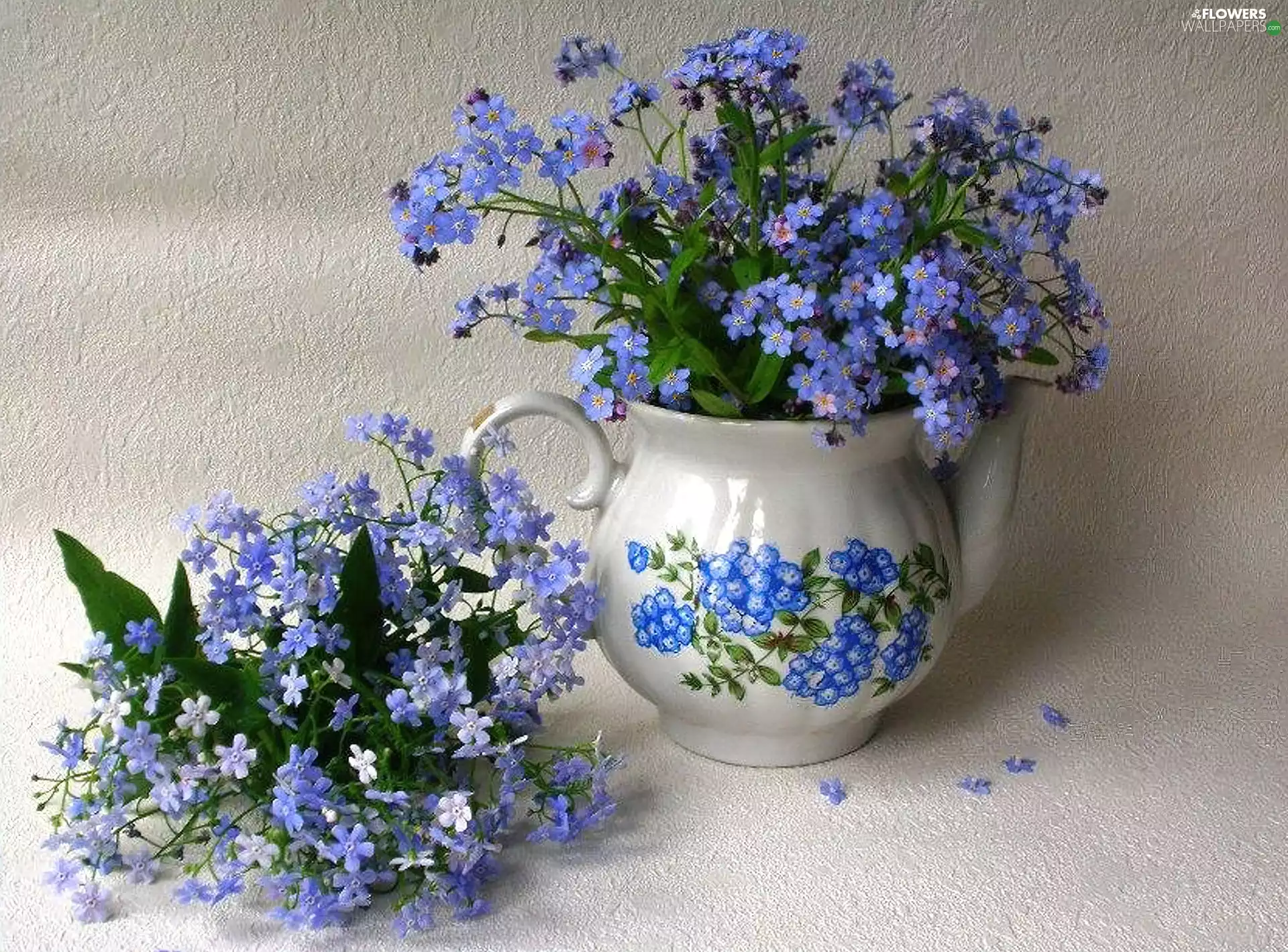composition, small bunch, forget-me-not