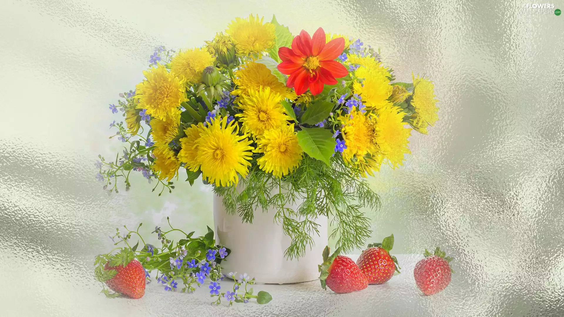 bouquet, Forget, strawberries, Common Dandelion
