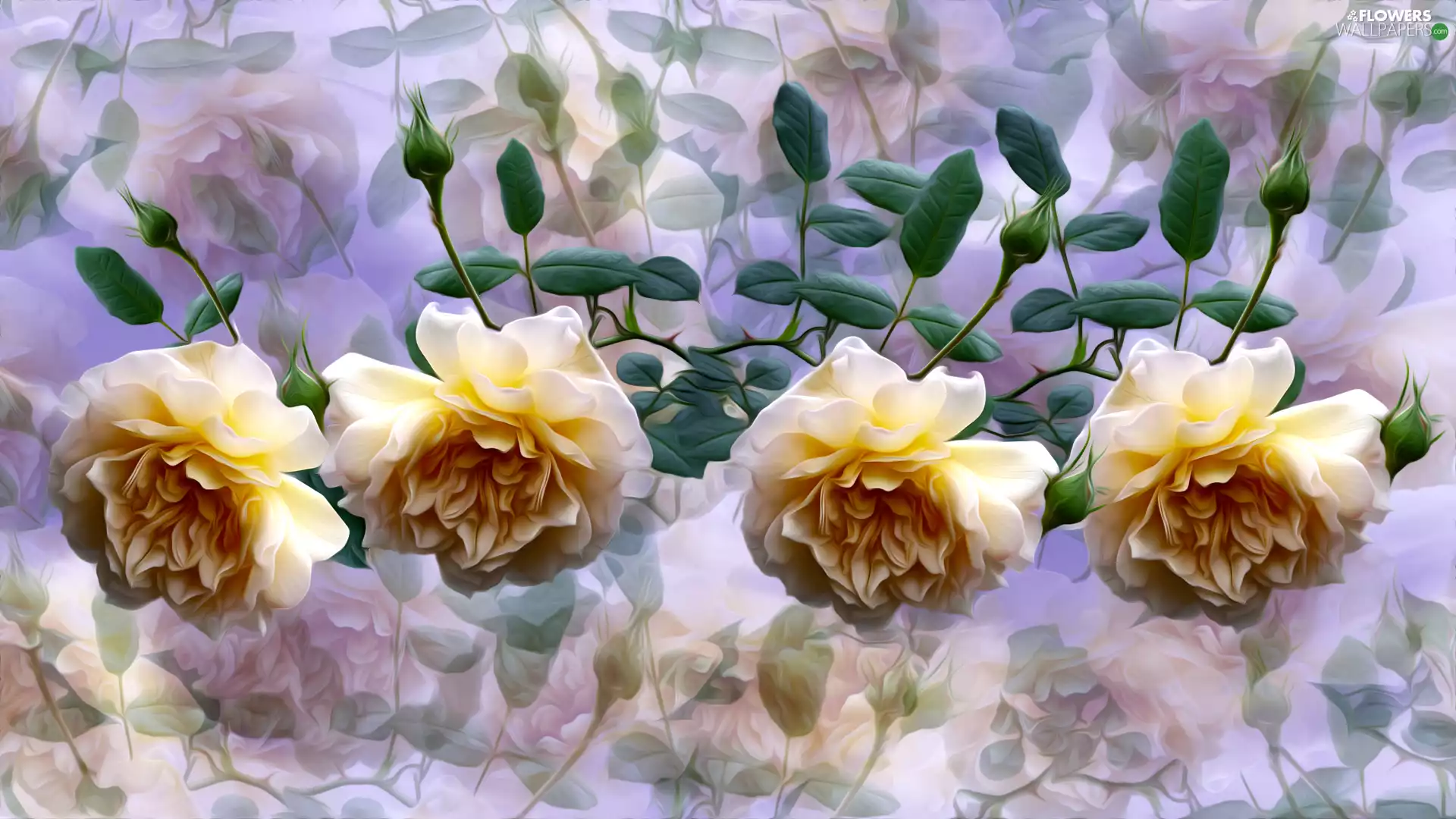 Flowers, roses, graphics, four