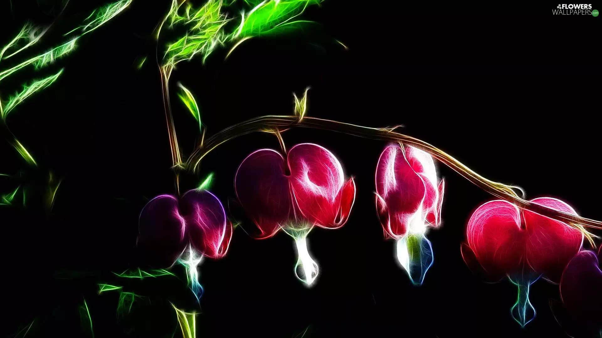 twig, Flowers, background, Bleeding Heart, Pink, Black, Fractalius