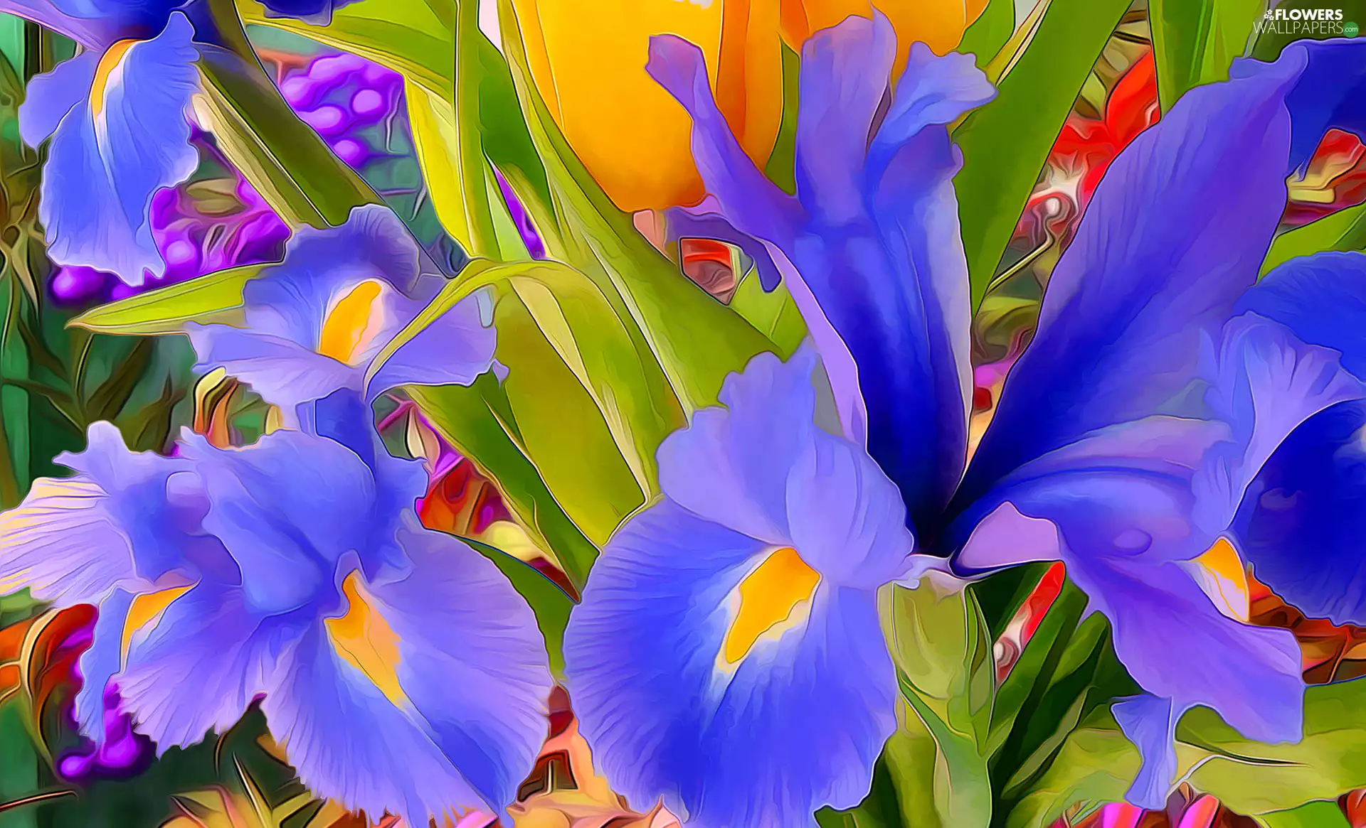 Leaf, Fractalius, color, Irises, Flowers