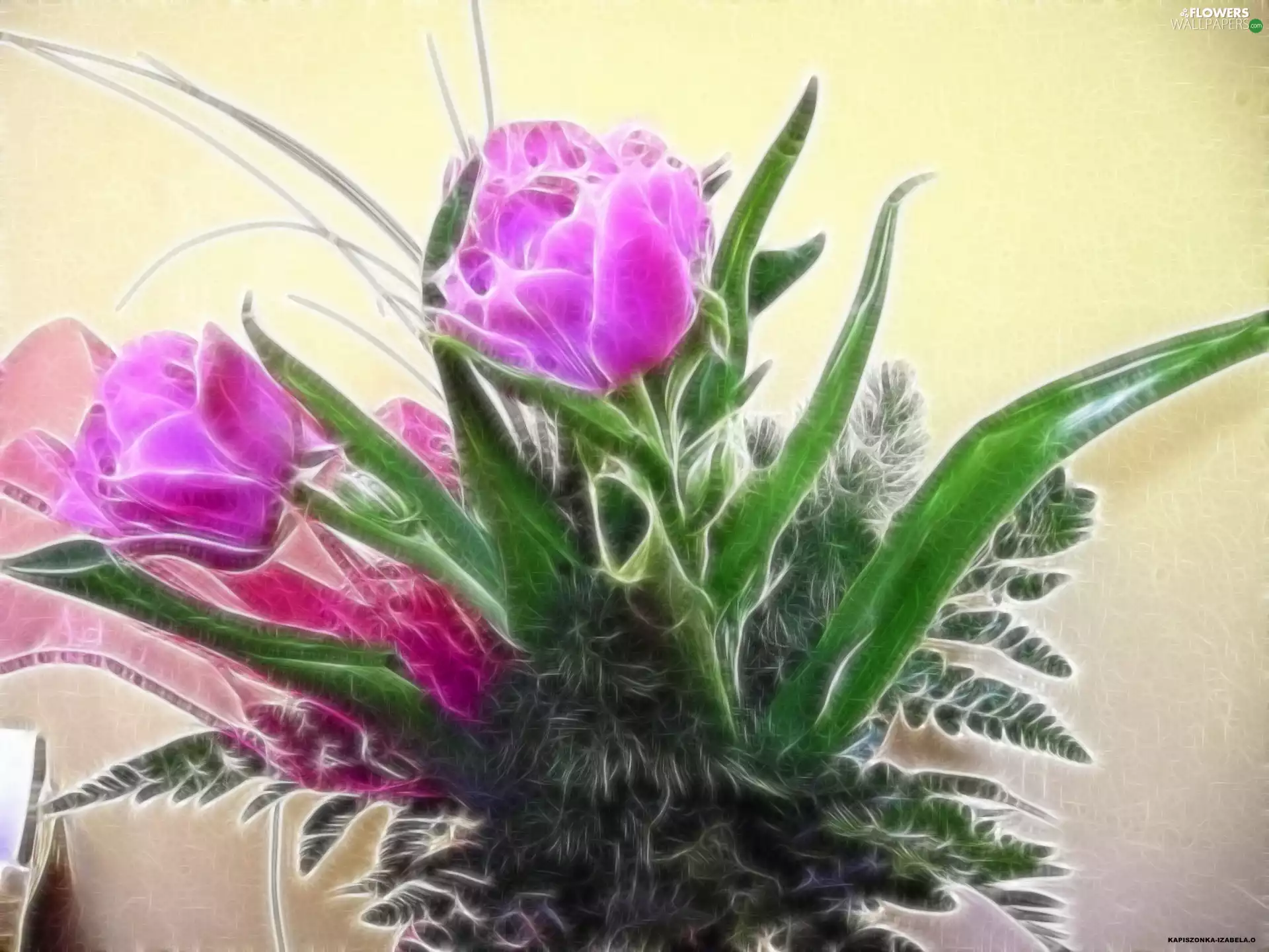 Fractalius, Tulips, composition