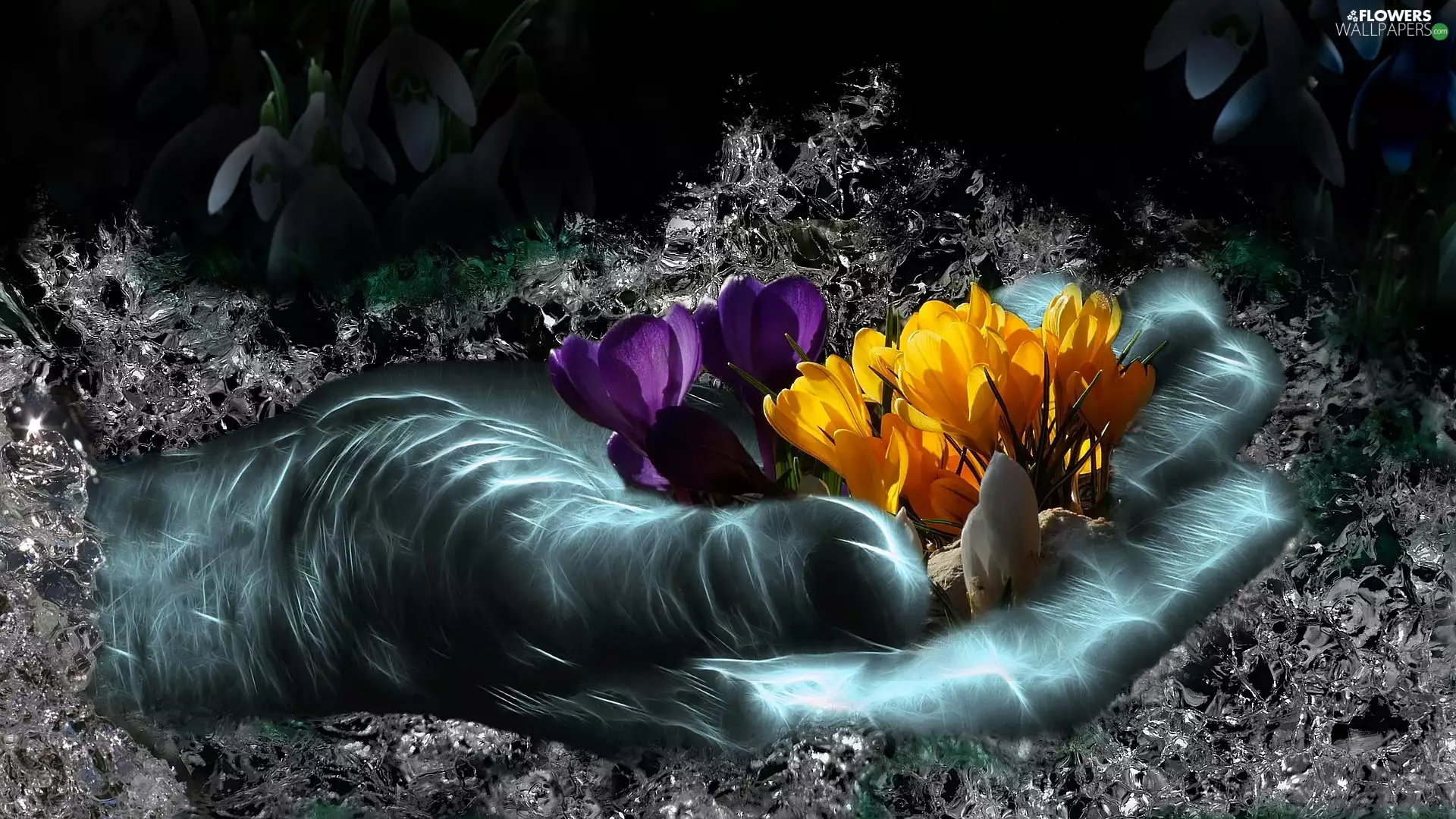 Fractalius, hand, crocuses