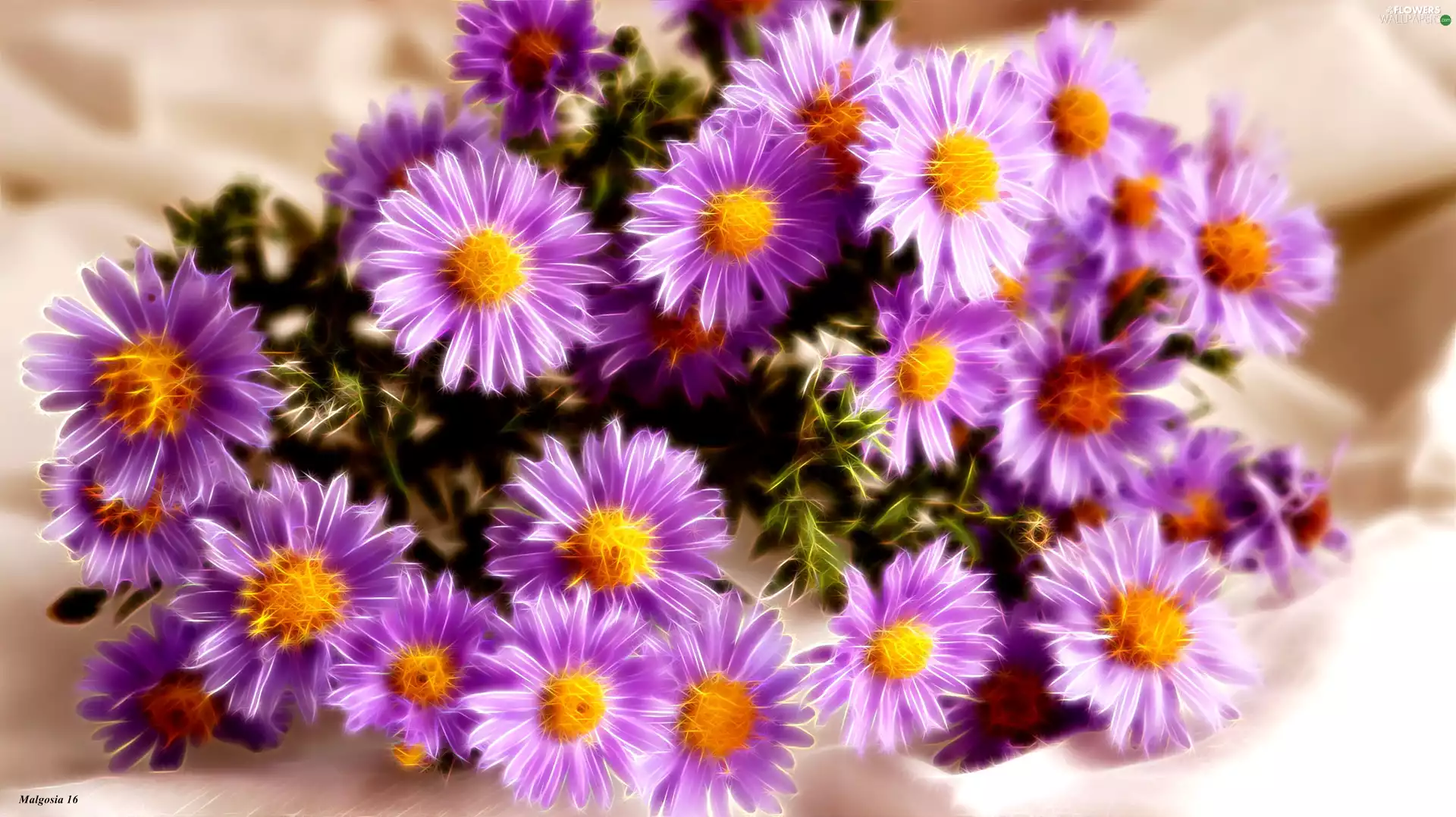 Fractalius, Aster, graphics