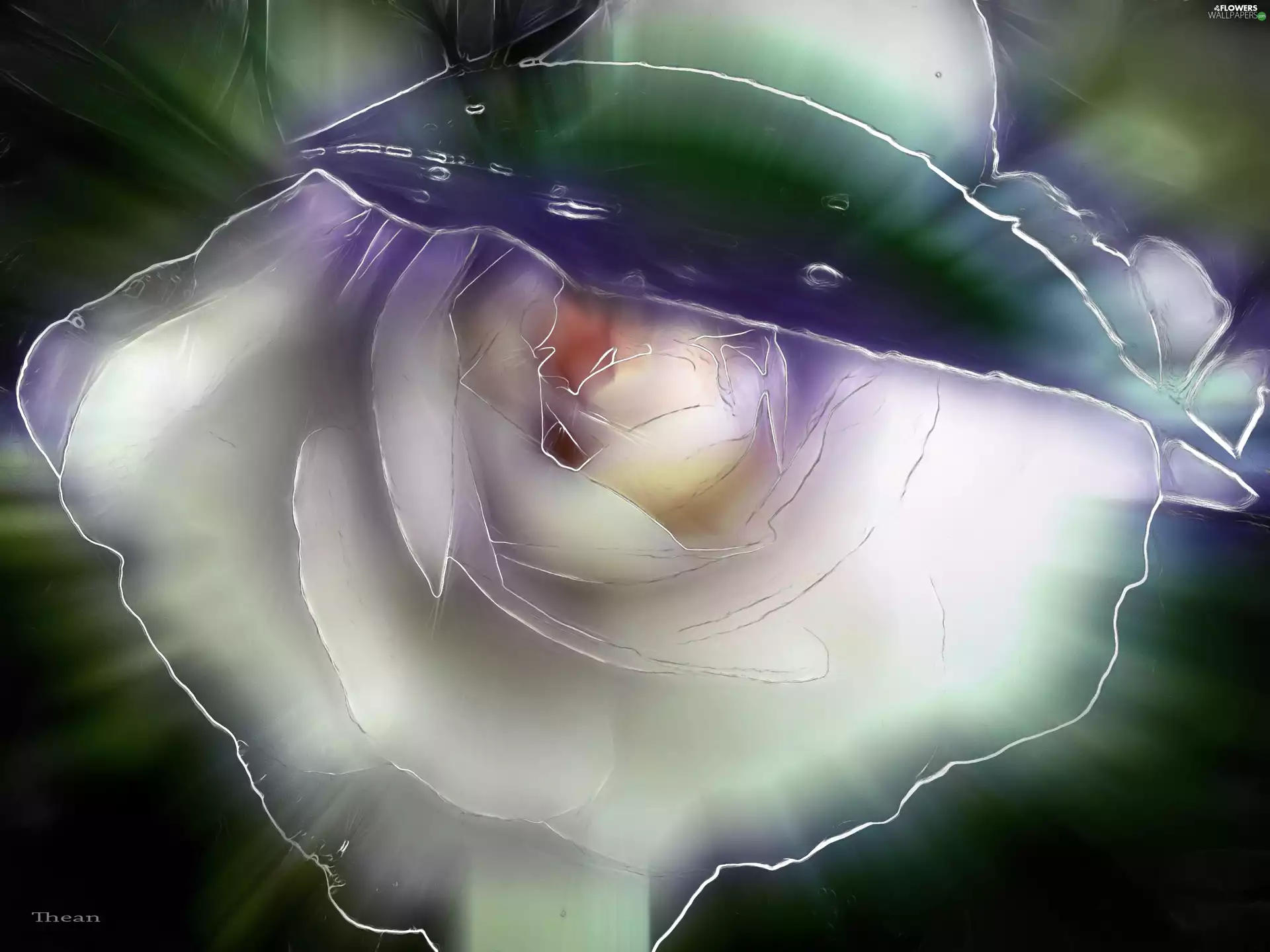 rose, Fractalius