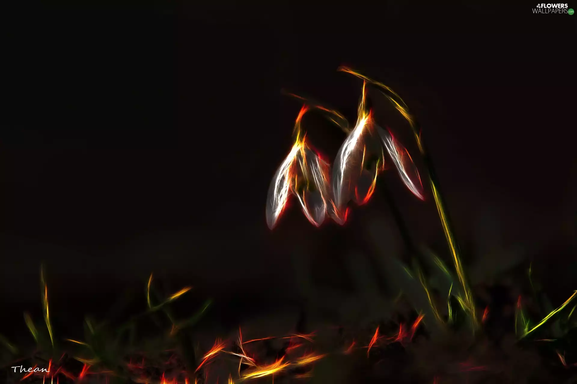 snowdrops, Fractalius