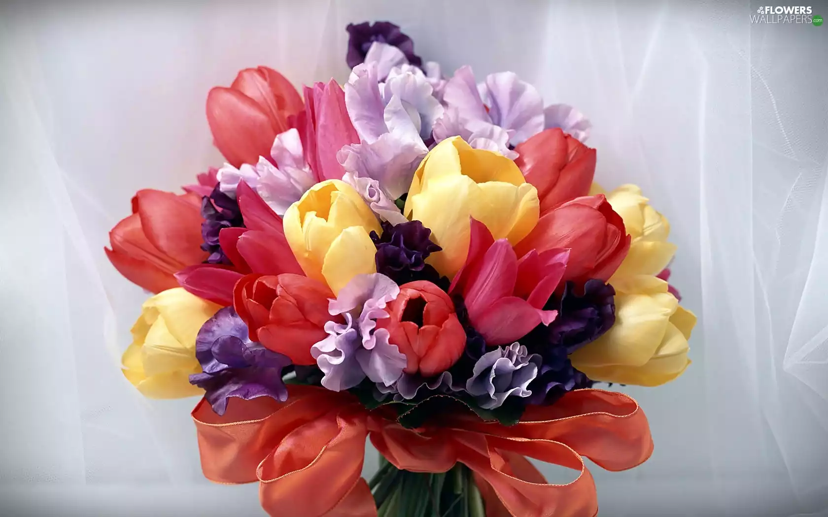 bouquet, peas, Tulips, fragrant