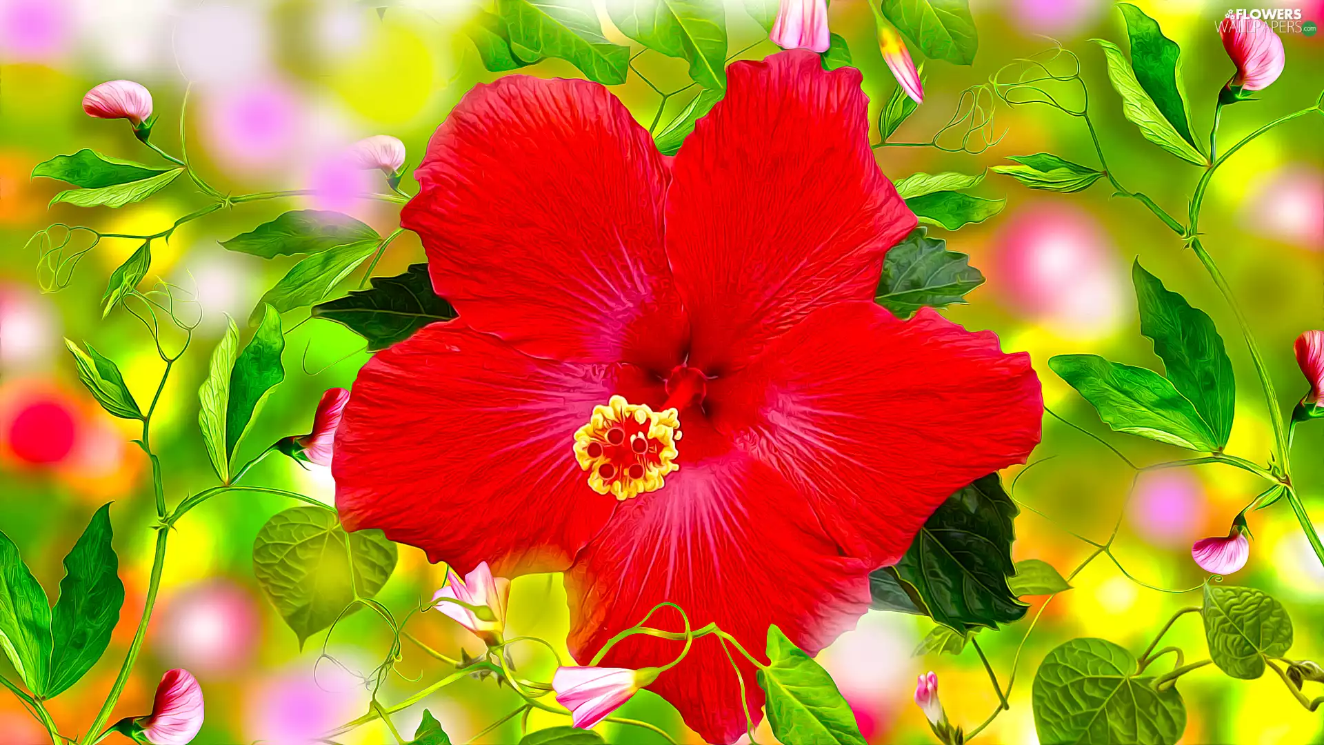 Flowers, Fragrant Peas, graphics, hibiskus