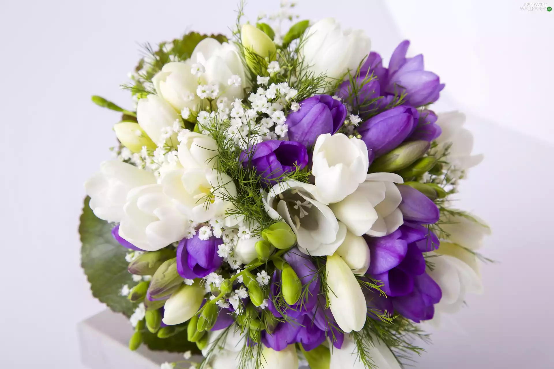 Bouquet of Flowers, freesia
