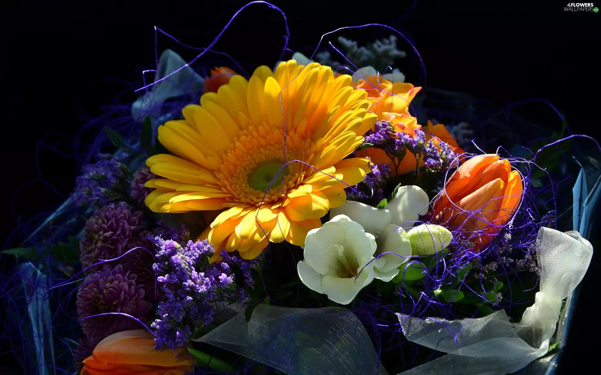 tulip, freesia, Flowers, Gerbera, bouquet