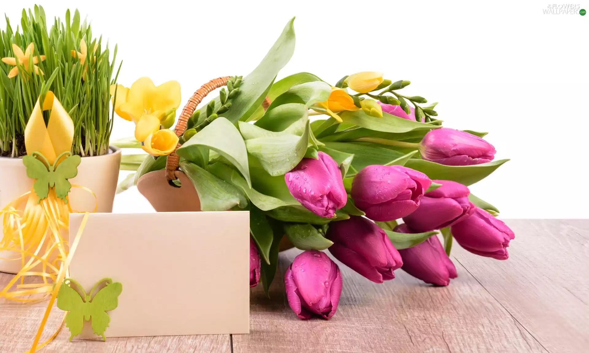 pot, Tulips, Spring, Freesias, Flowers, grass, composition