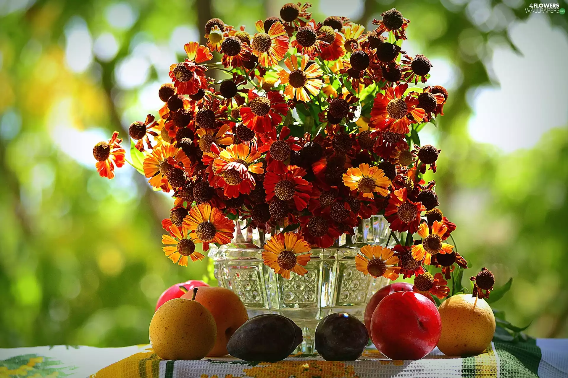Fruits, composition, bouquet