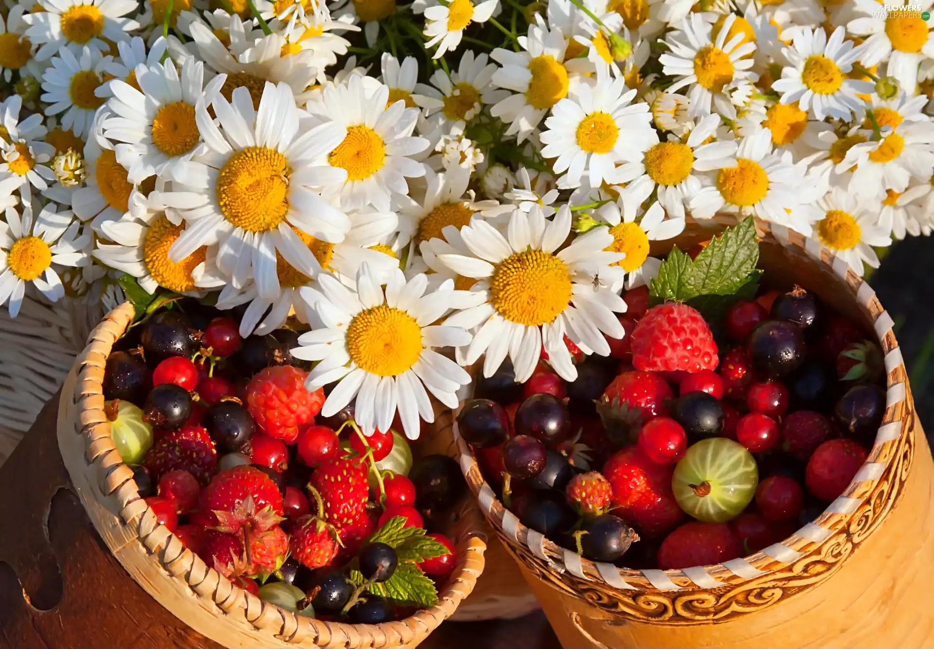 chamomile, Flowers, currant, Fruits, White, gooseberry, strawberries