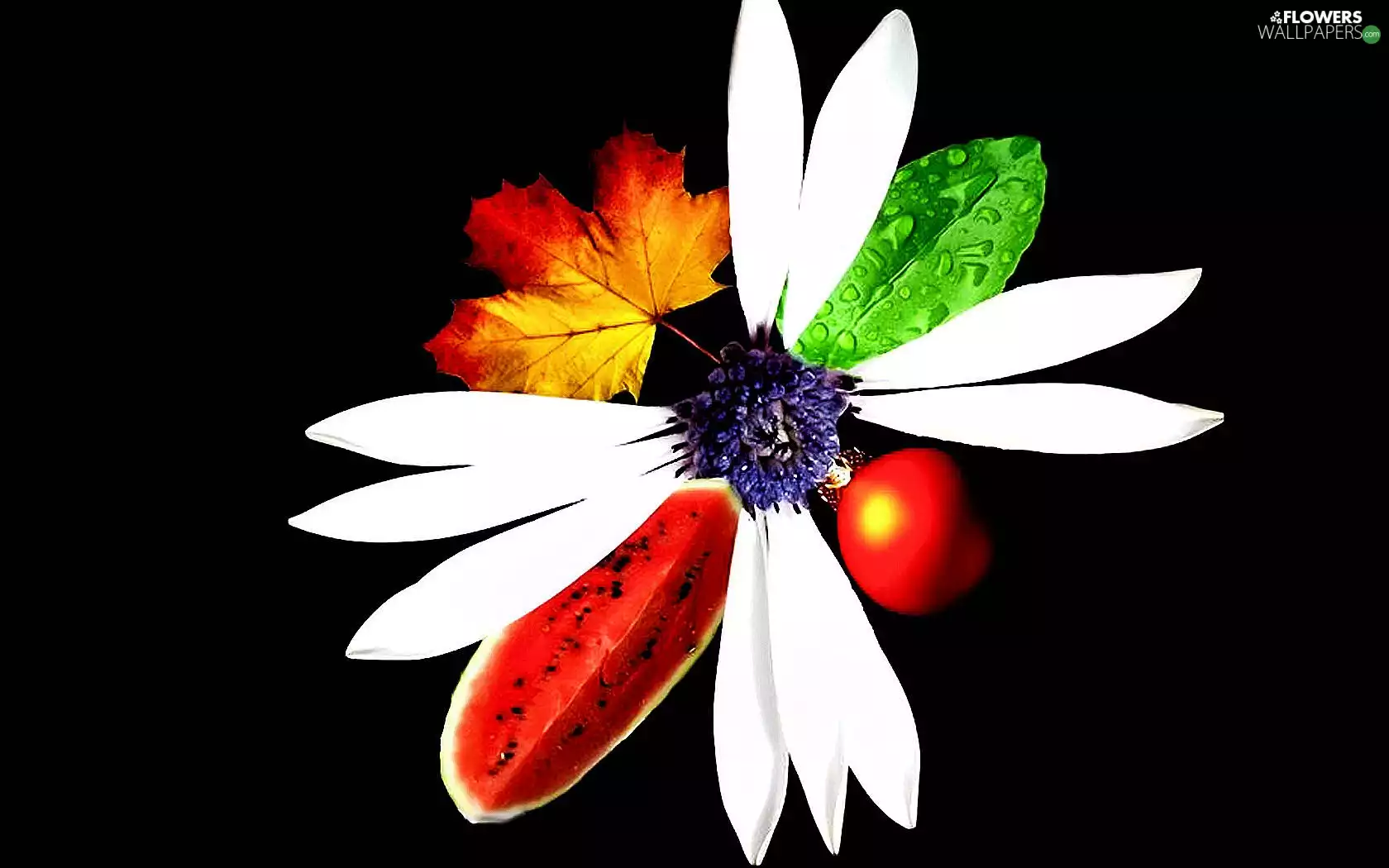 fruits, composition, flowers