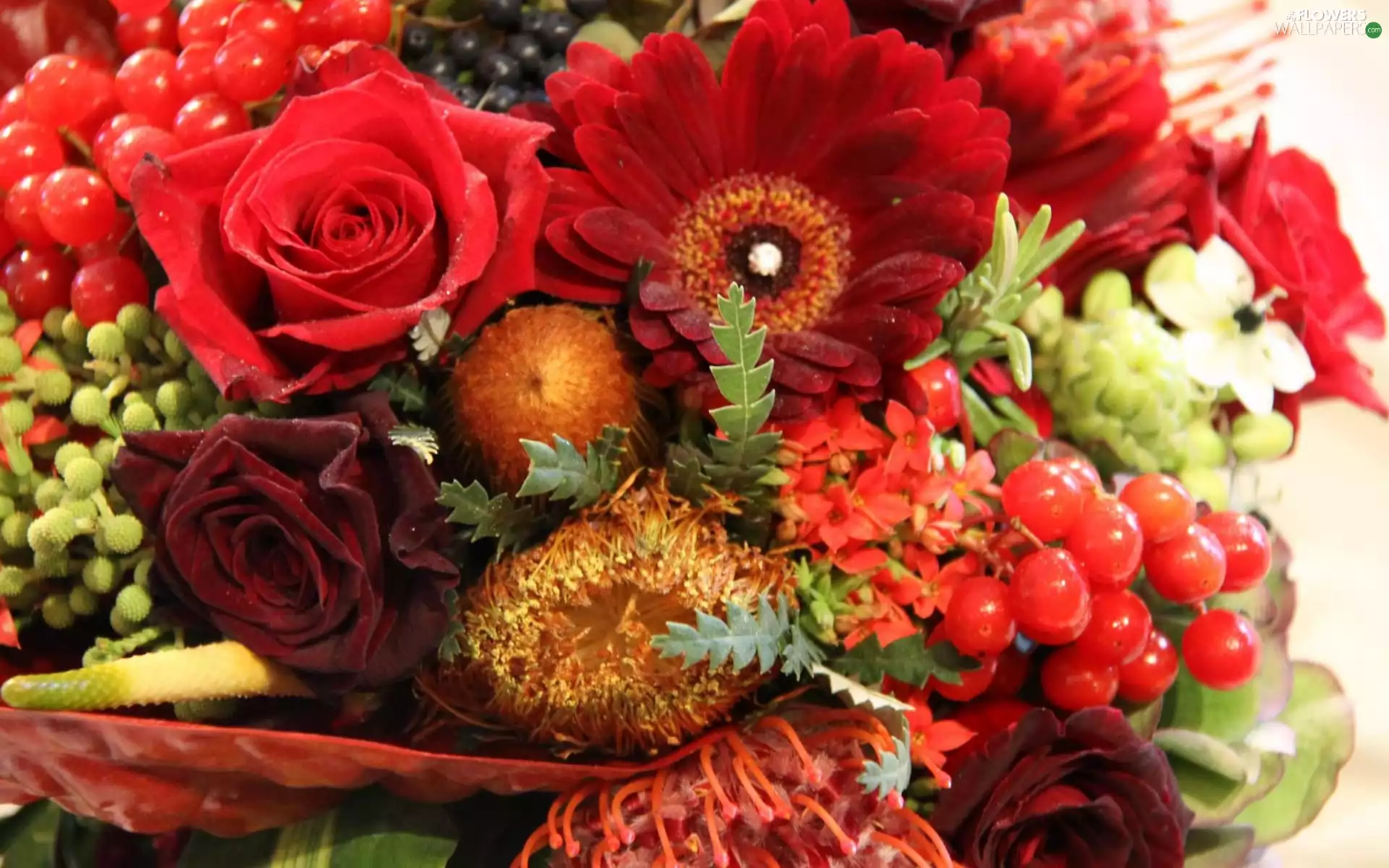 fruity, bouquet, Floral