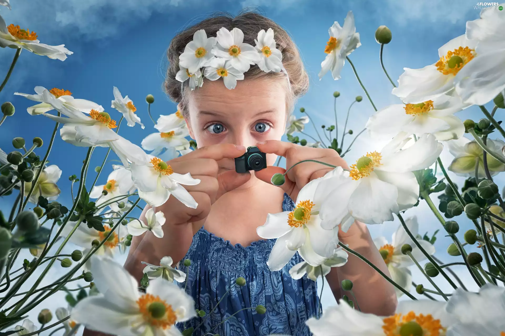 Camera, Funny, Flowers, Anemones, girl