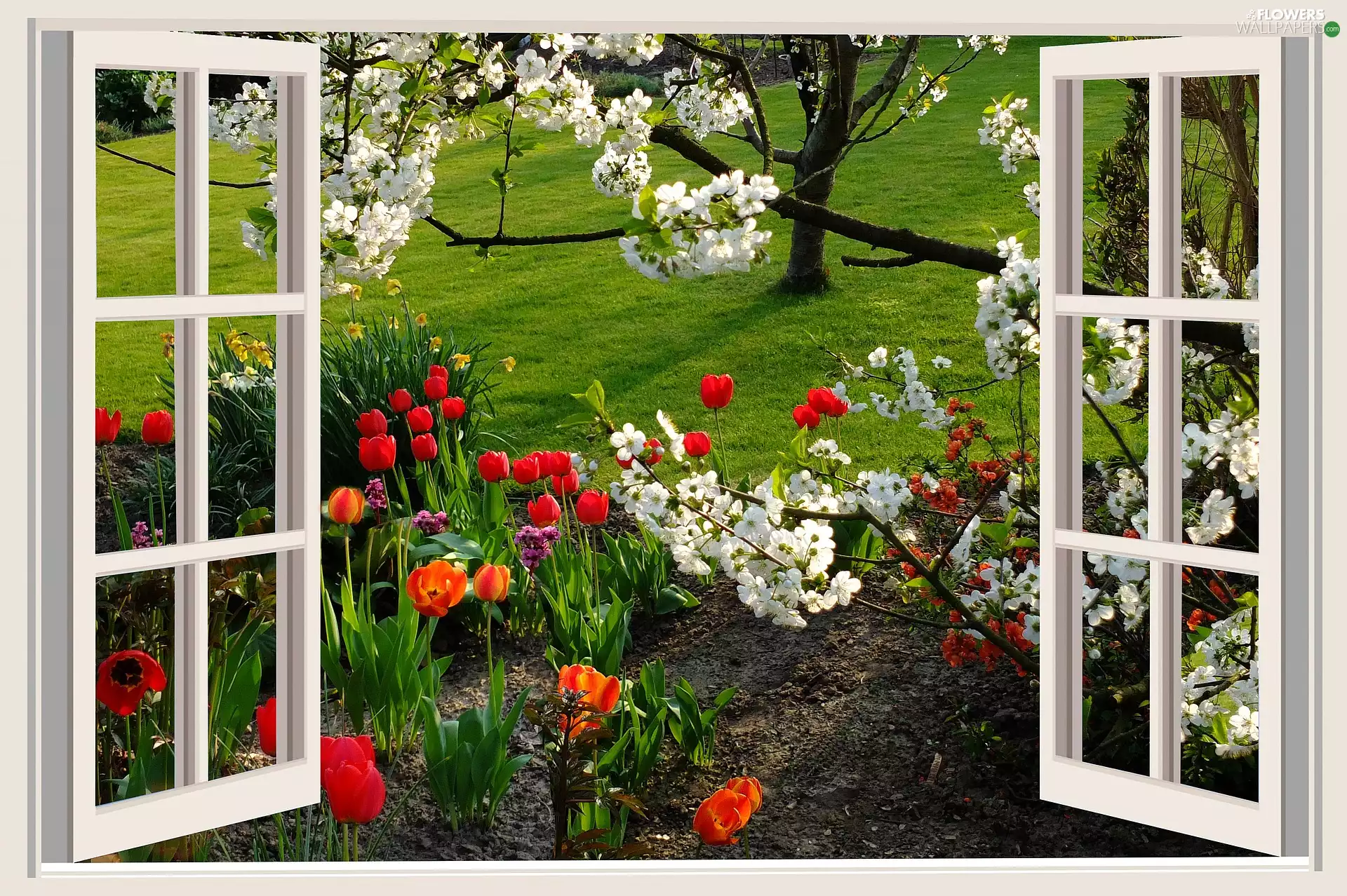 Garden, Window, trees, viewes, grass, Spring, Flowers, Tulips, flourishing