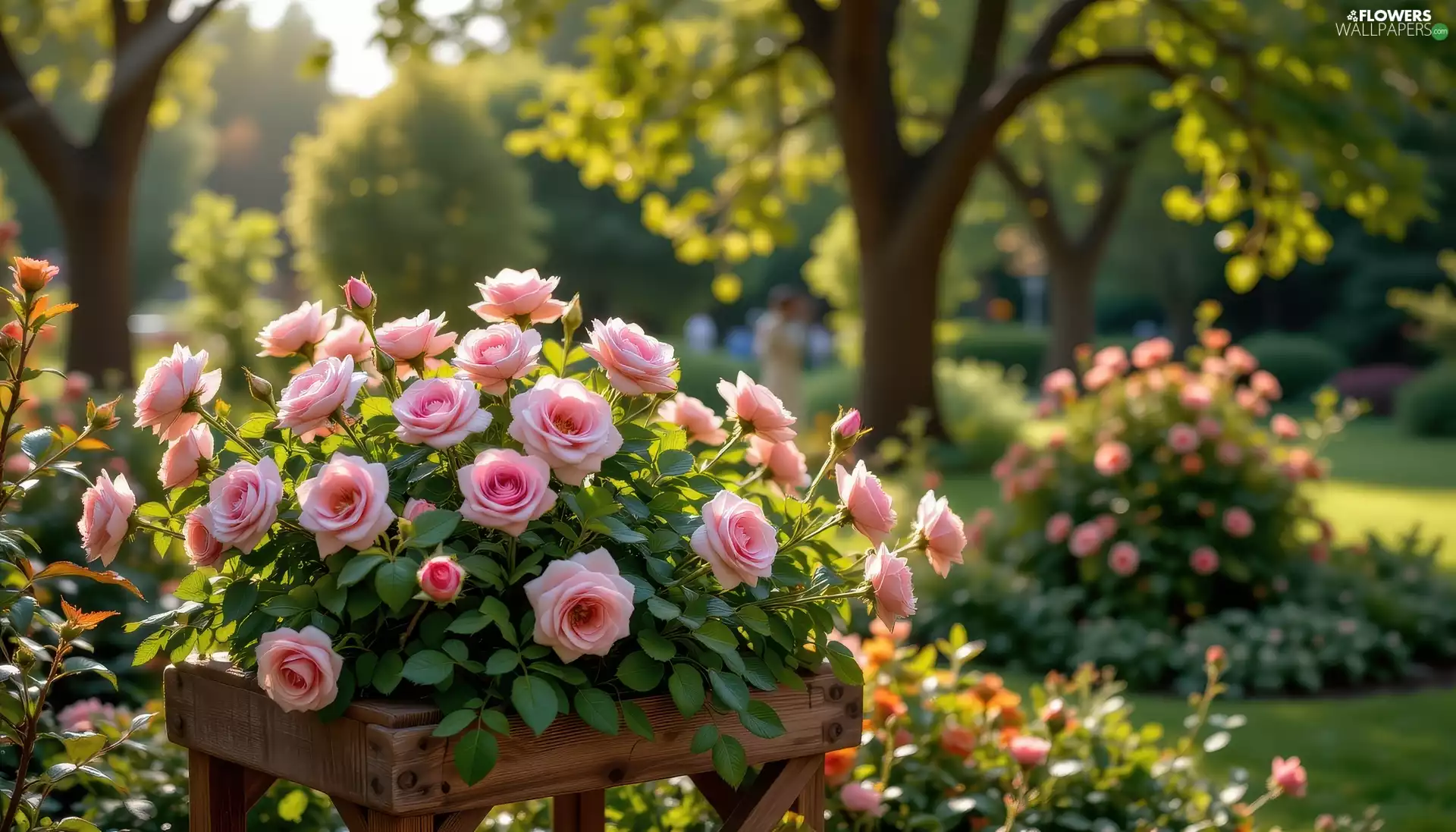 Pink, Flowers, viewes, Garden, trees, roses
