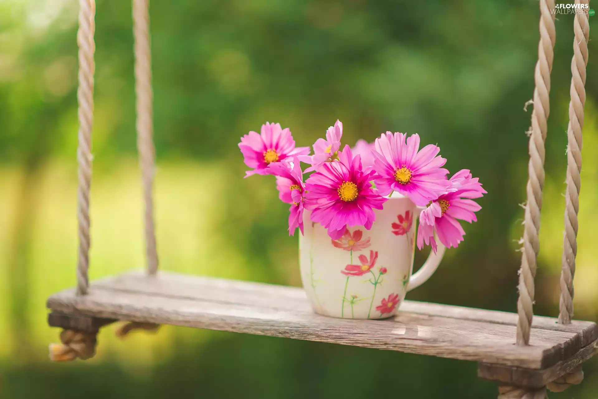 Swing, flowers, Garden, Cup