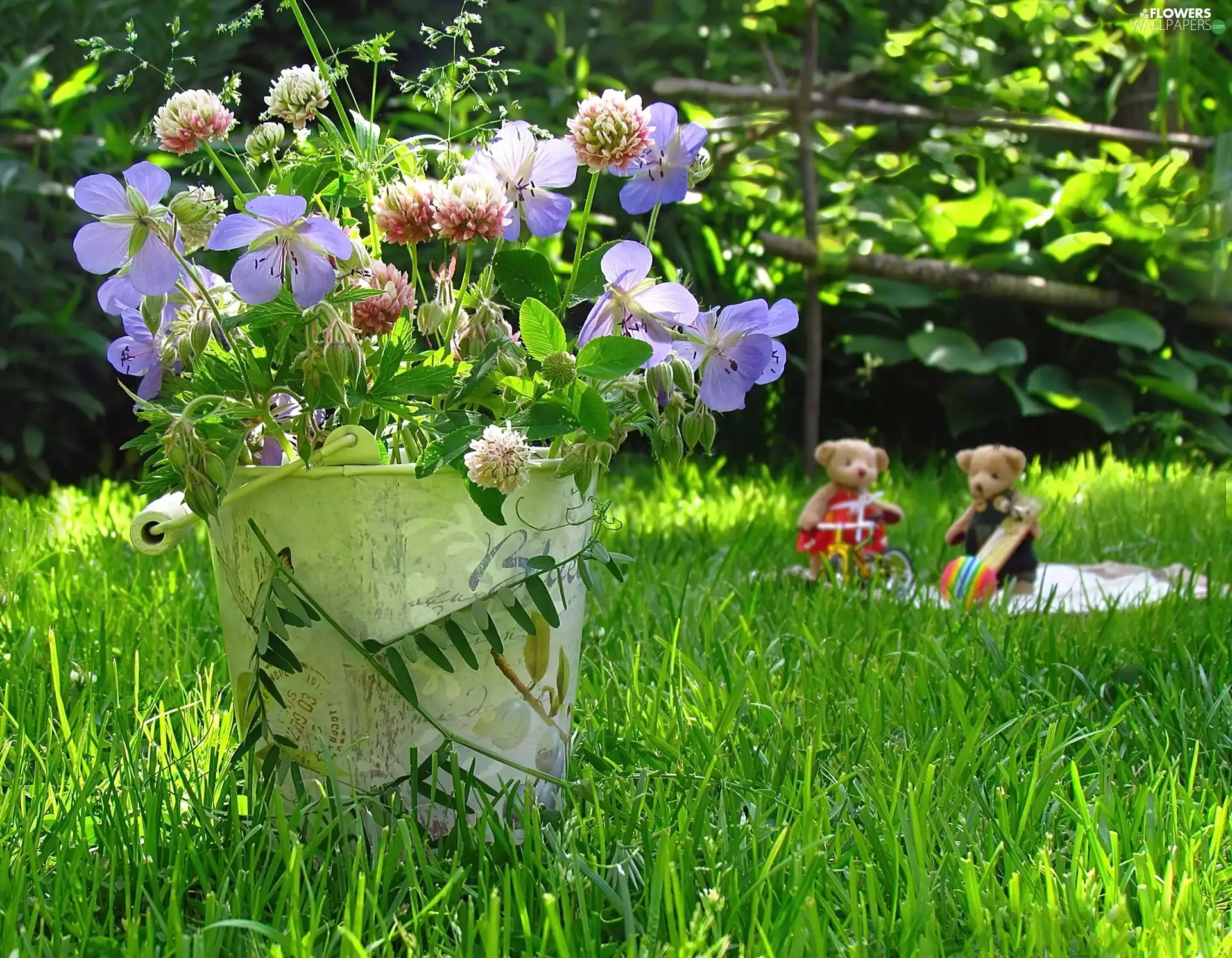Lawn, garden, wild, flowers, bouquet