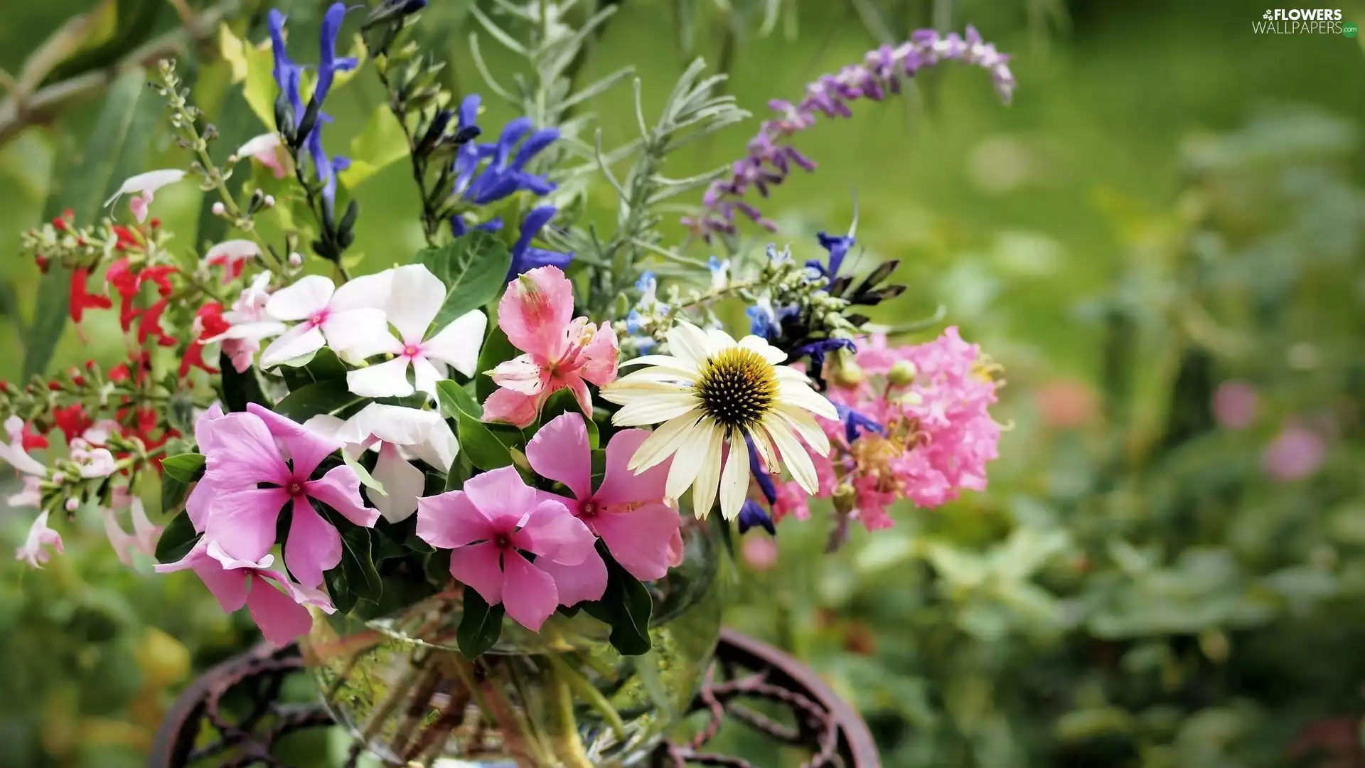 flowers, bouquet, table, Garden, bowl, wild