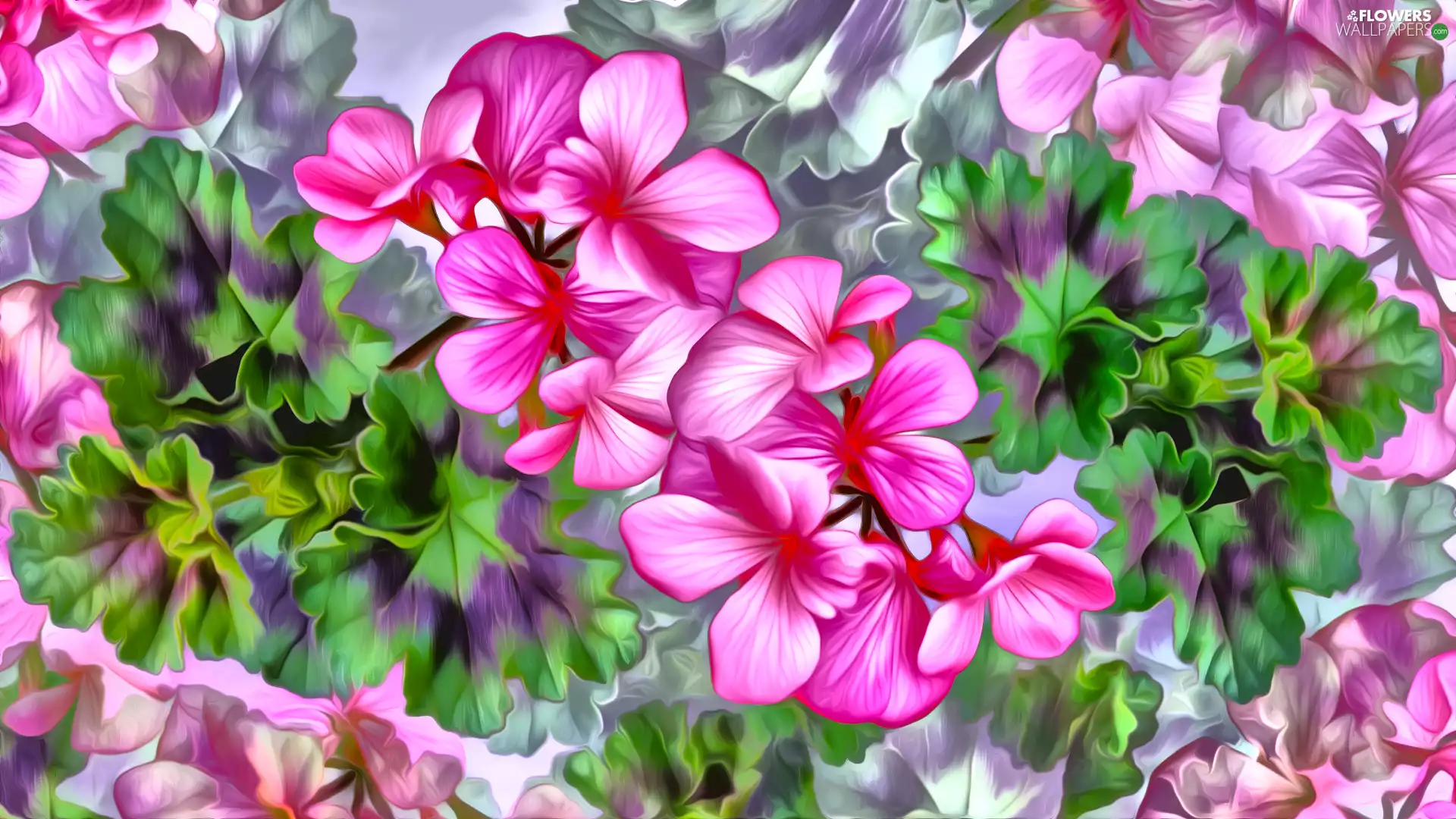 Flowers, Leaf, graphics, geraniums