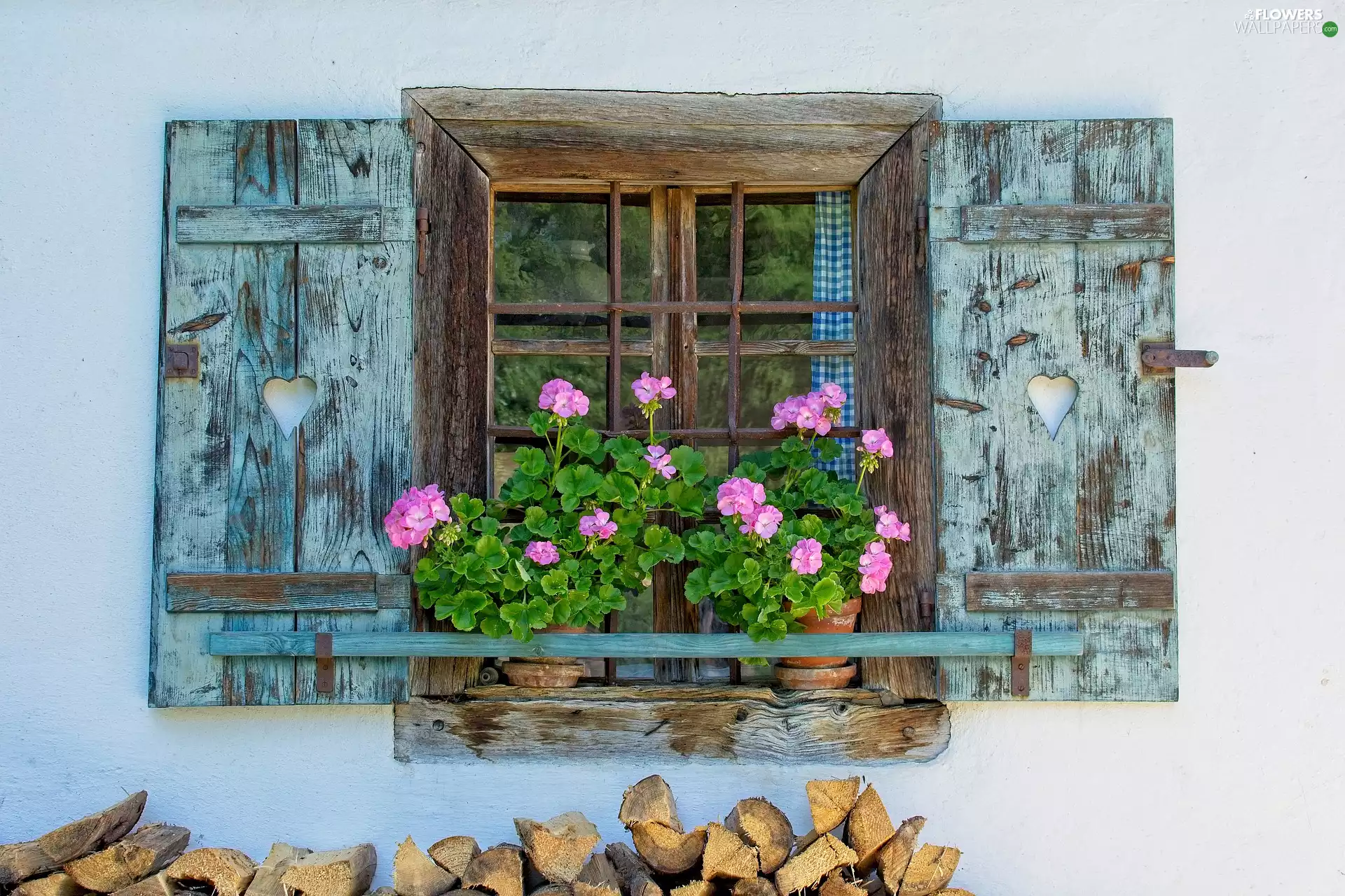 parapet, geraniums, Window, Flowers, house