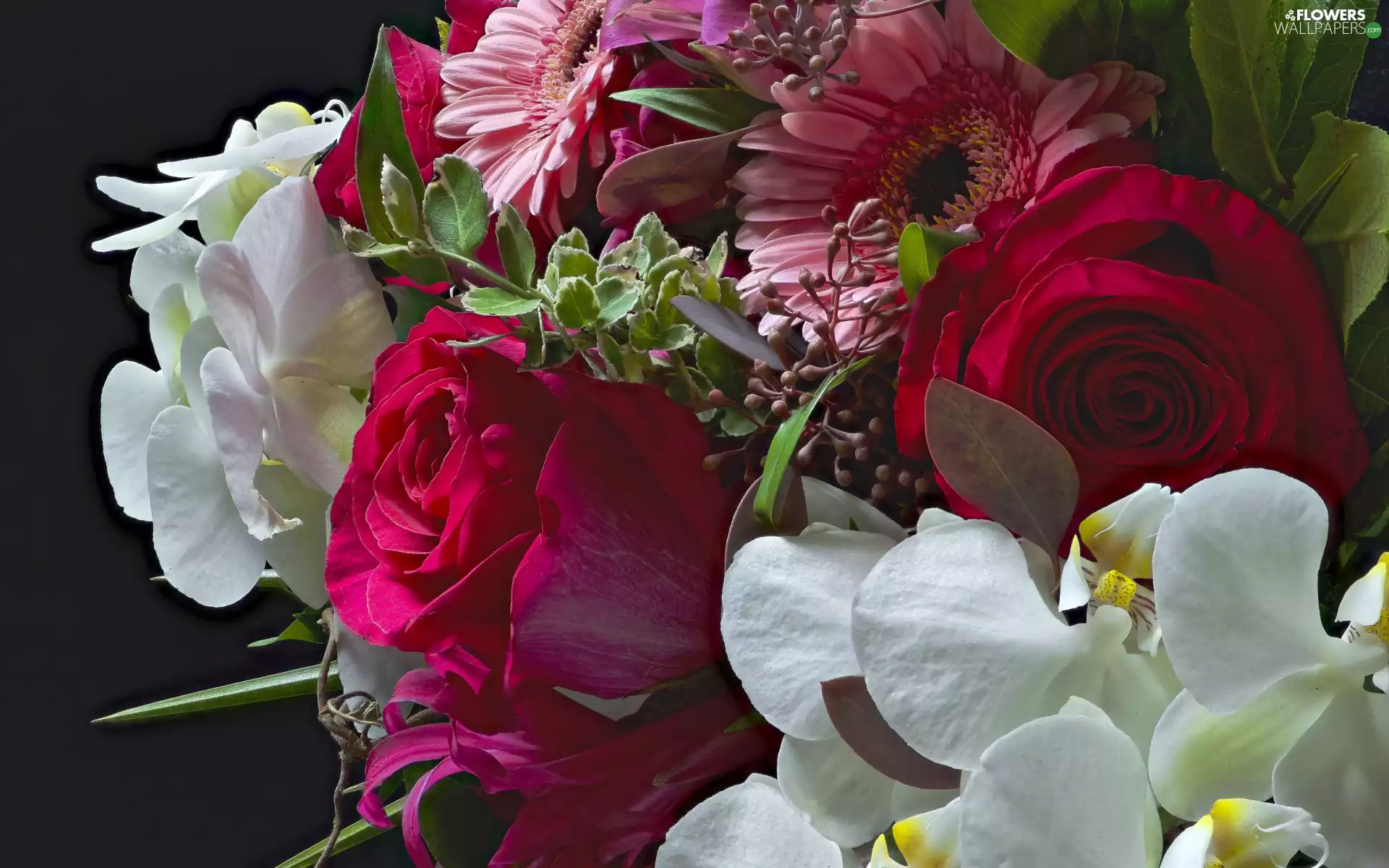 orchid, Gerbera, bouquet, roses, Flowers