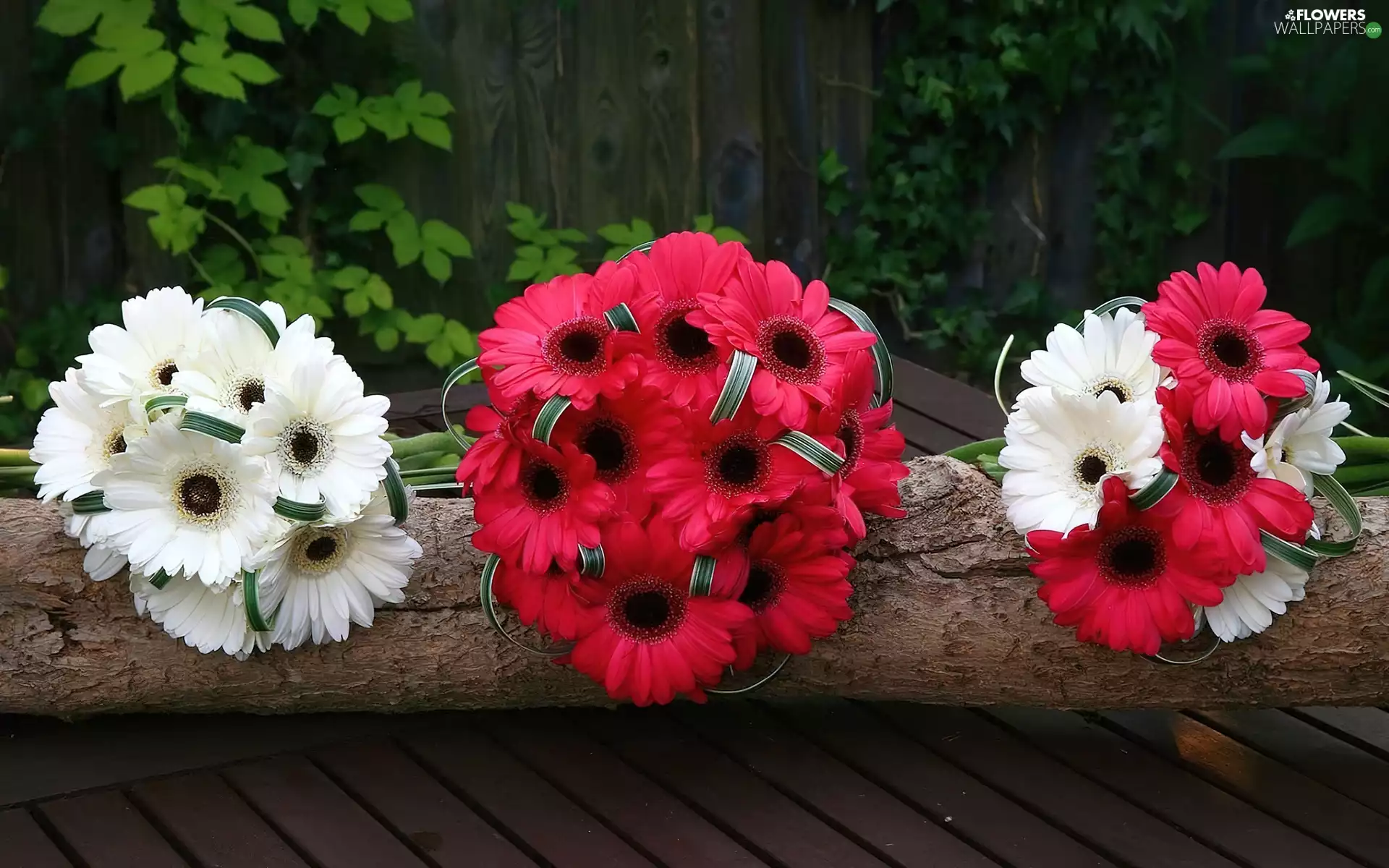 Gerbera, Bouquets, flowers