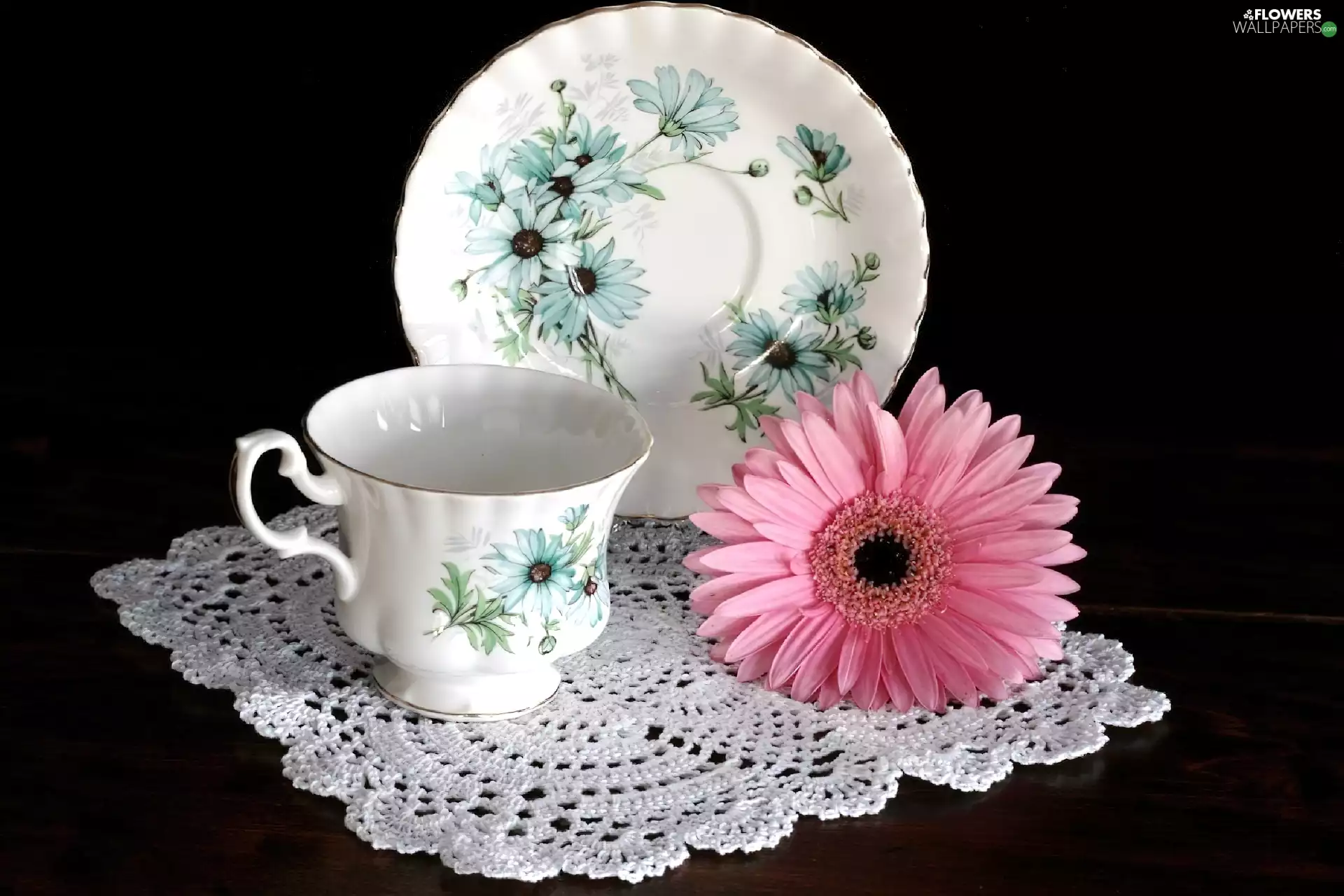 Gerbera, china, Pink