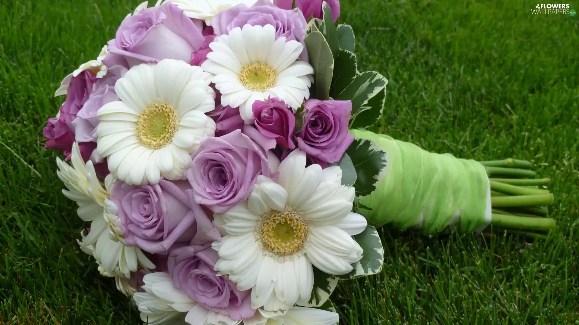 bouquet, roses, gerberas, flowers