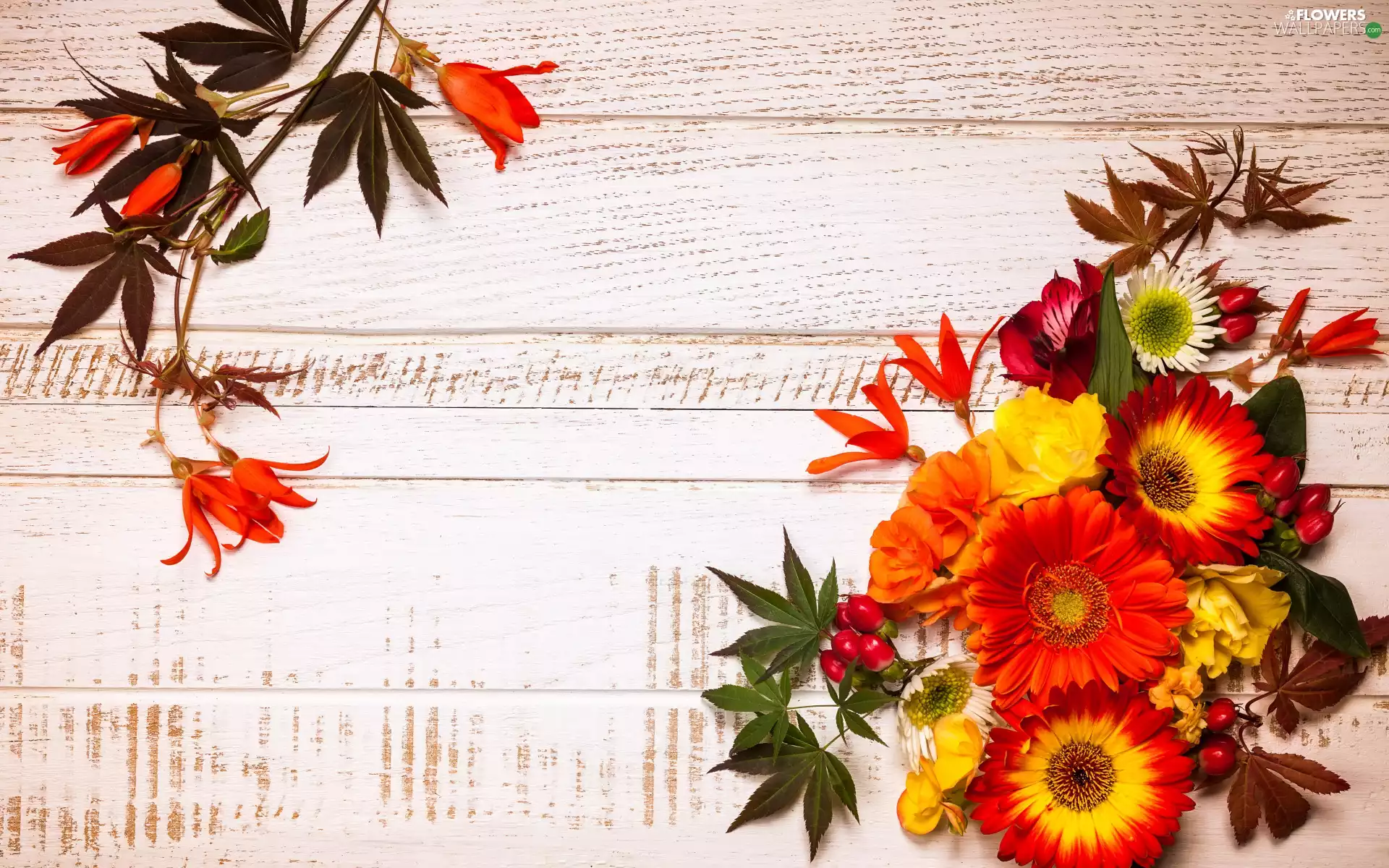 Flowers, composition, boarding, gerberas