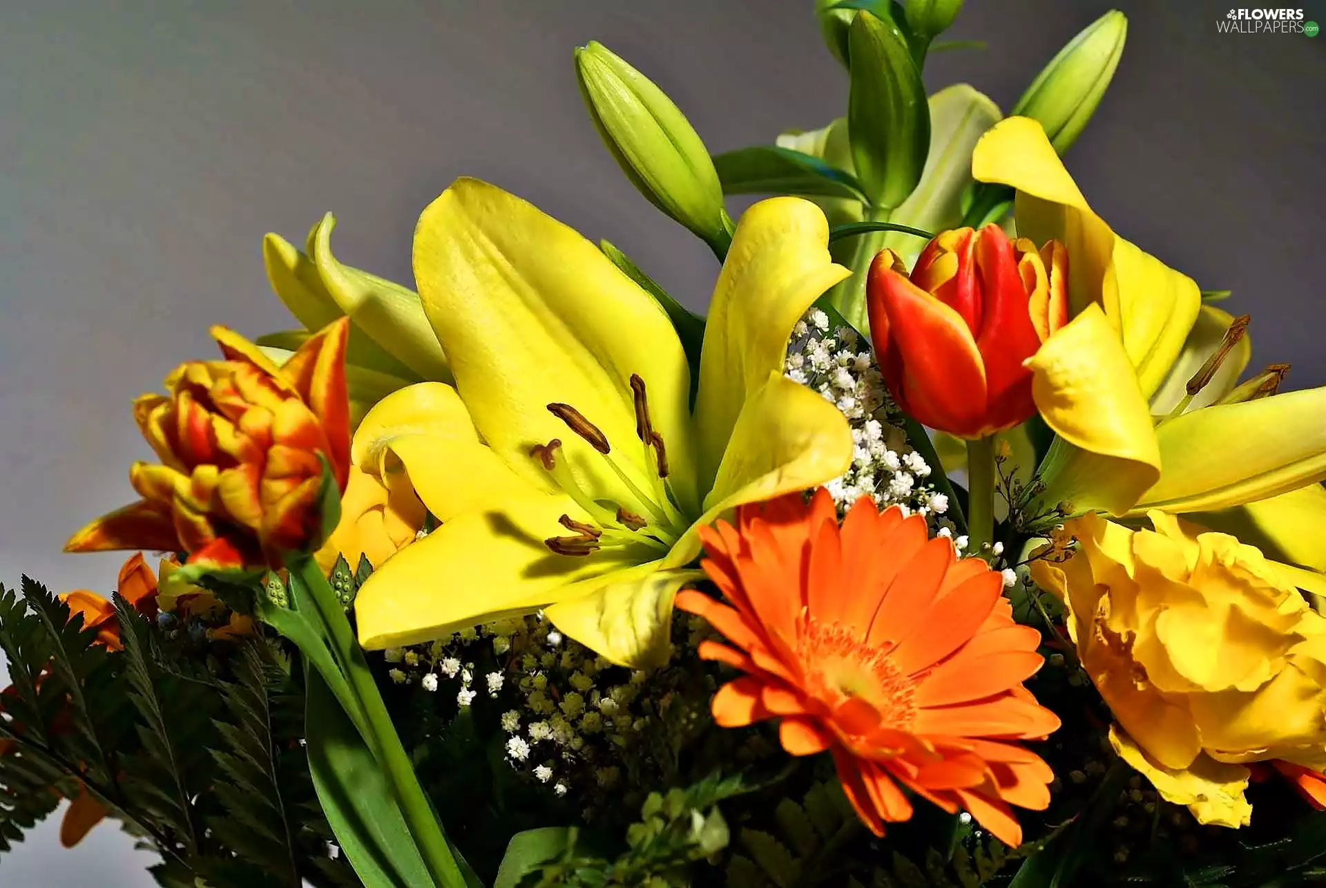 Tulips, gerberas, flowers, lilies, bouquet
