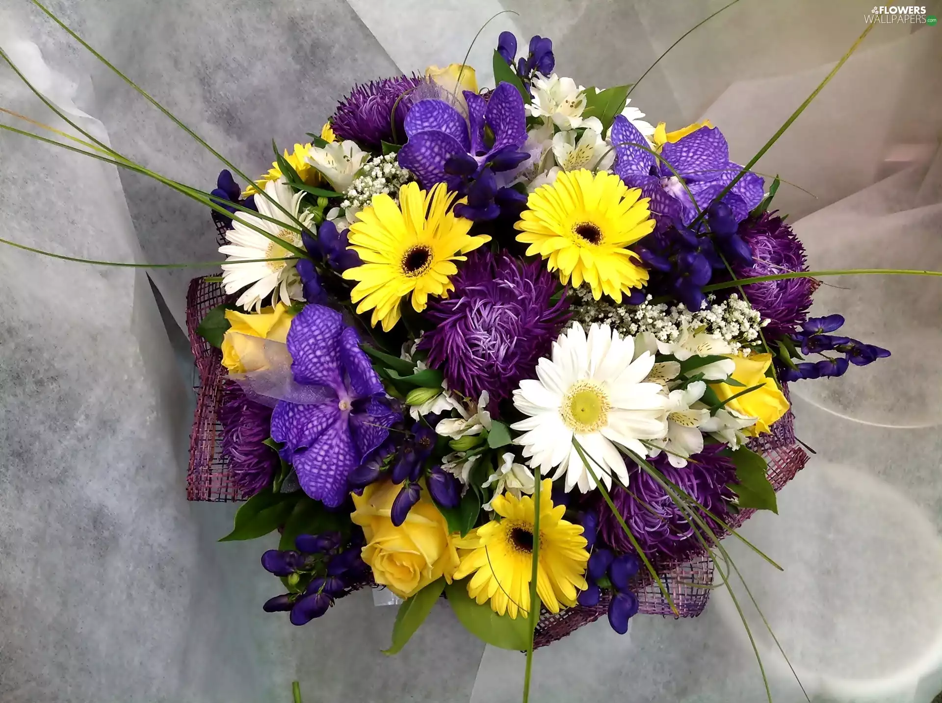 gerberas, bouquet, flowers