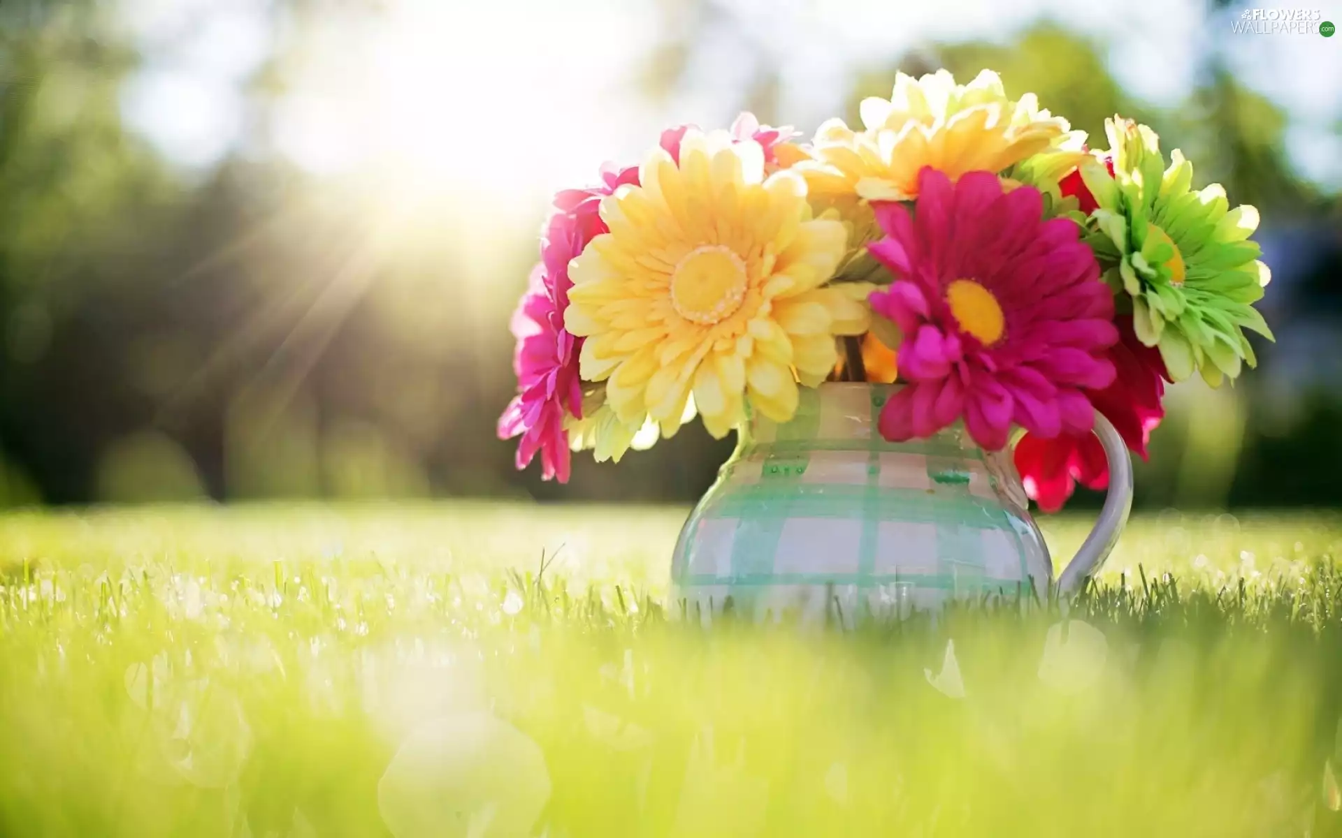 Flowers, jug, grass, gerberas