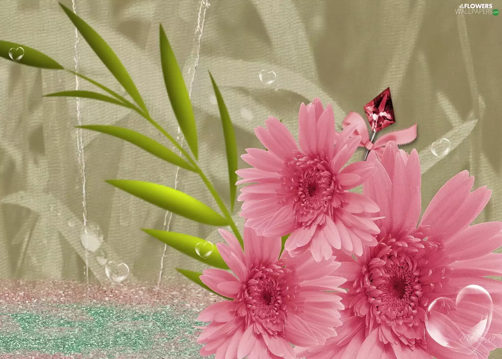Pink, gerberas