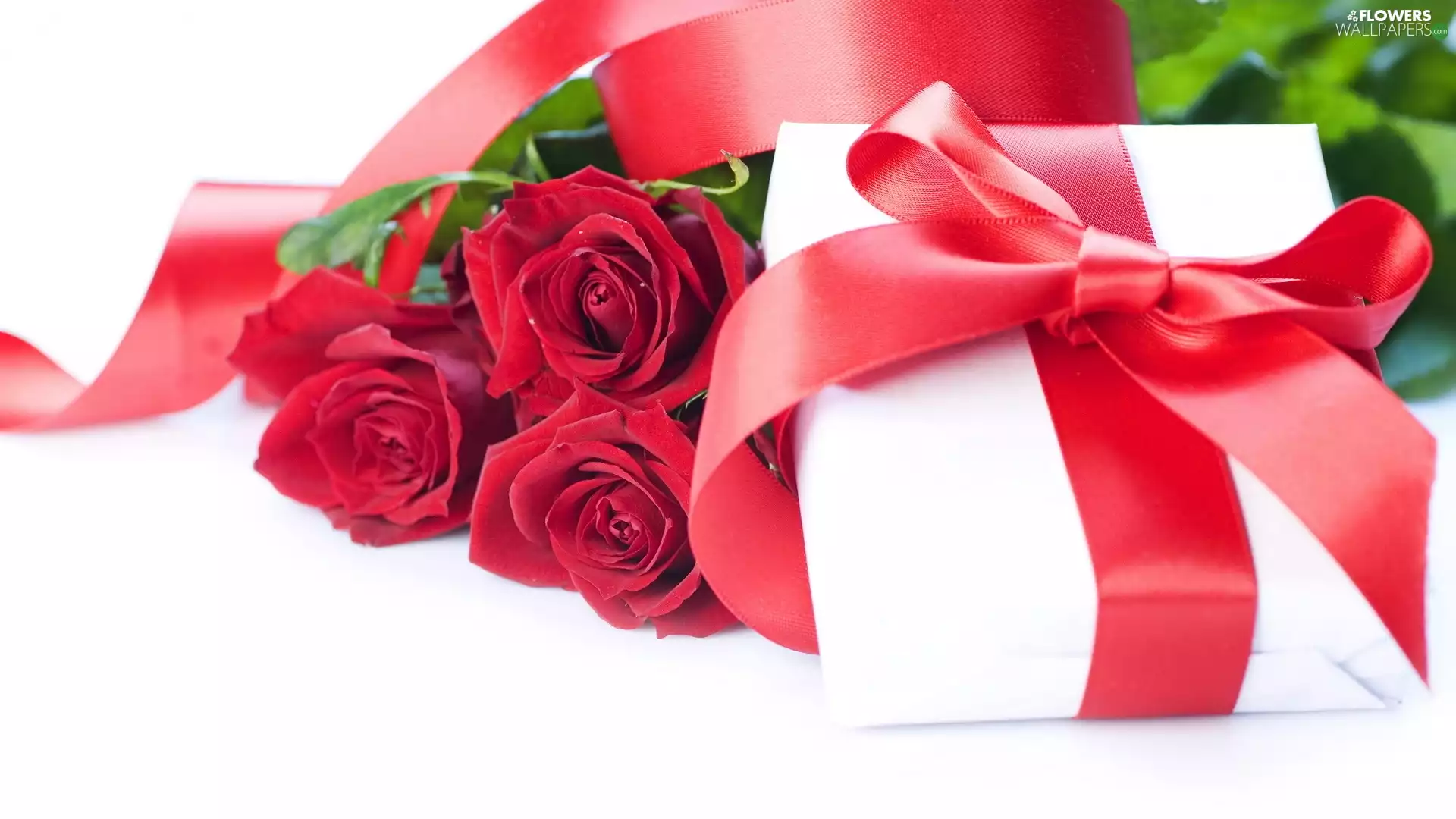 roses, gift