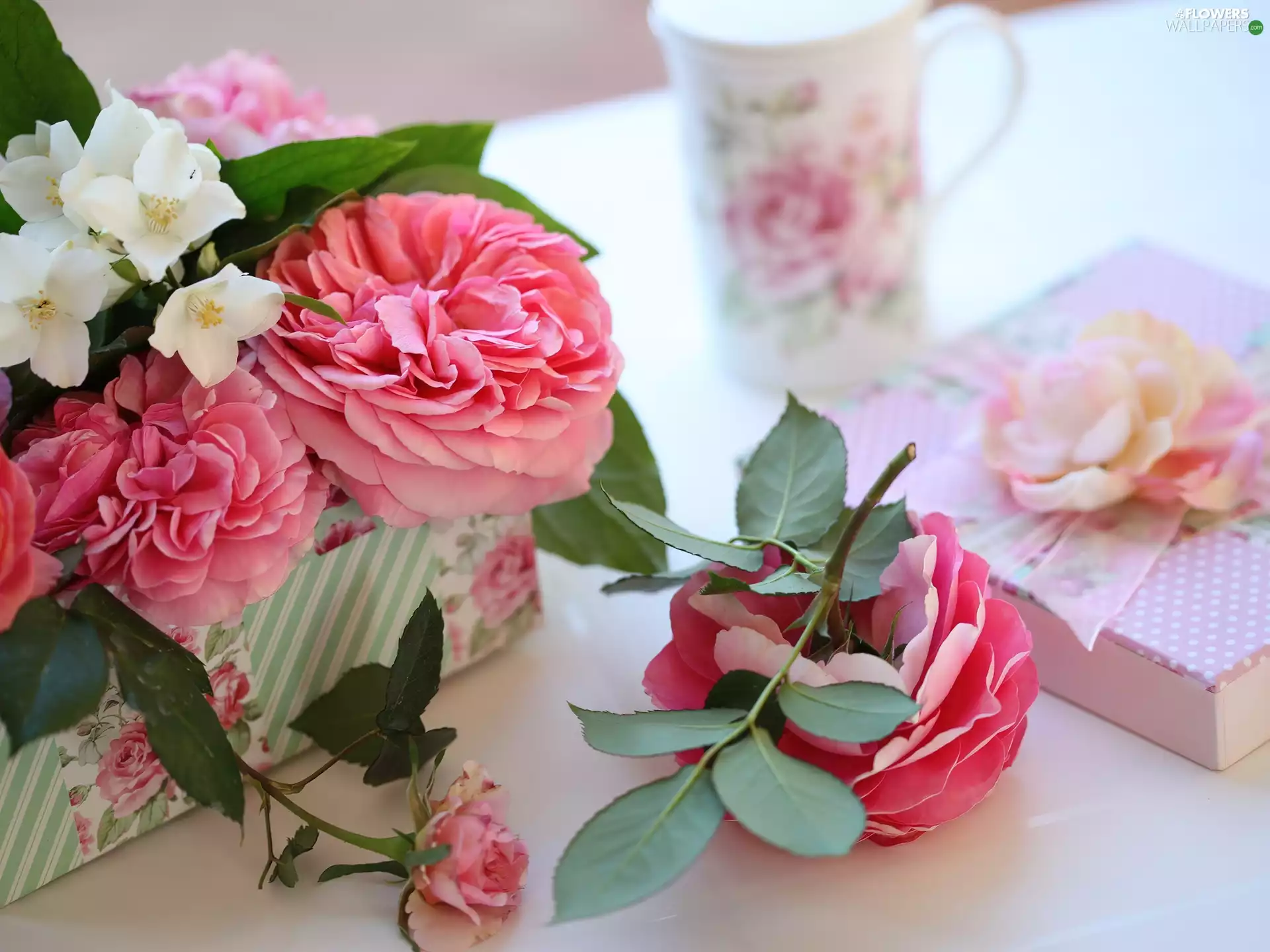 gifts, roses, cup