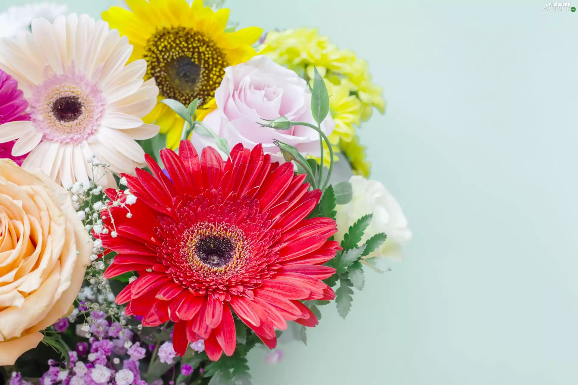gerberas, Flowers, roses, Gipsówka, Sunflower, bouquet
