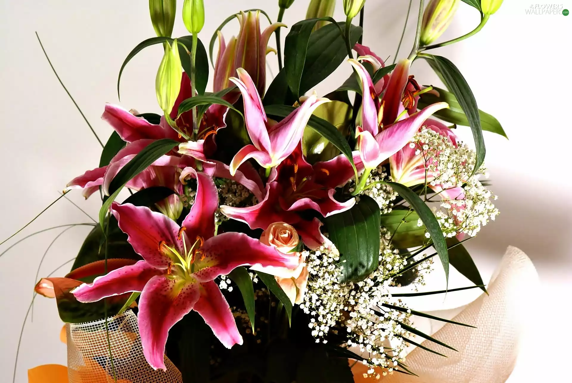 Gipsówka, bouquet, lily