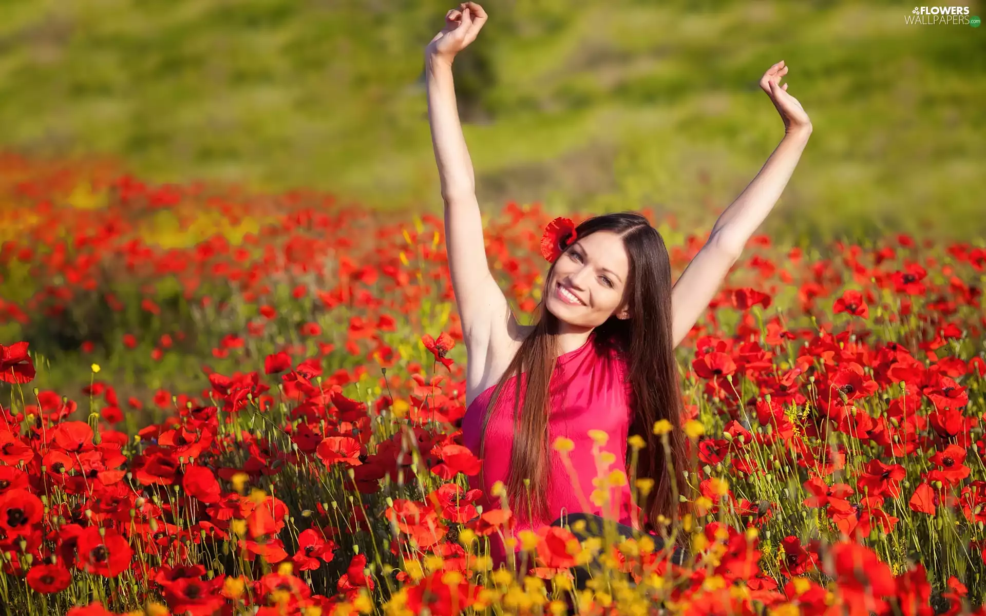 Meadow, smiling, girl, papavers